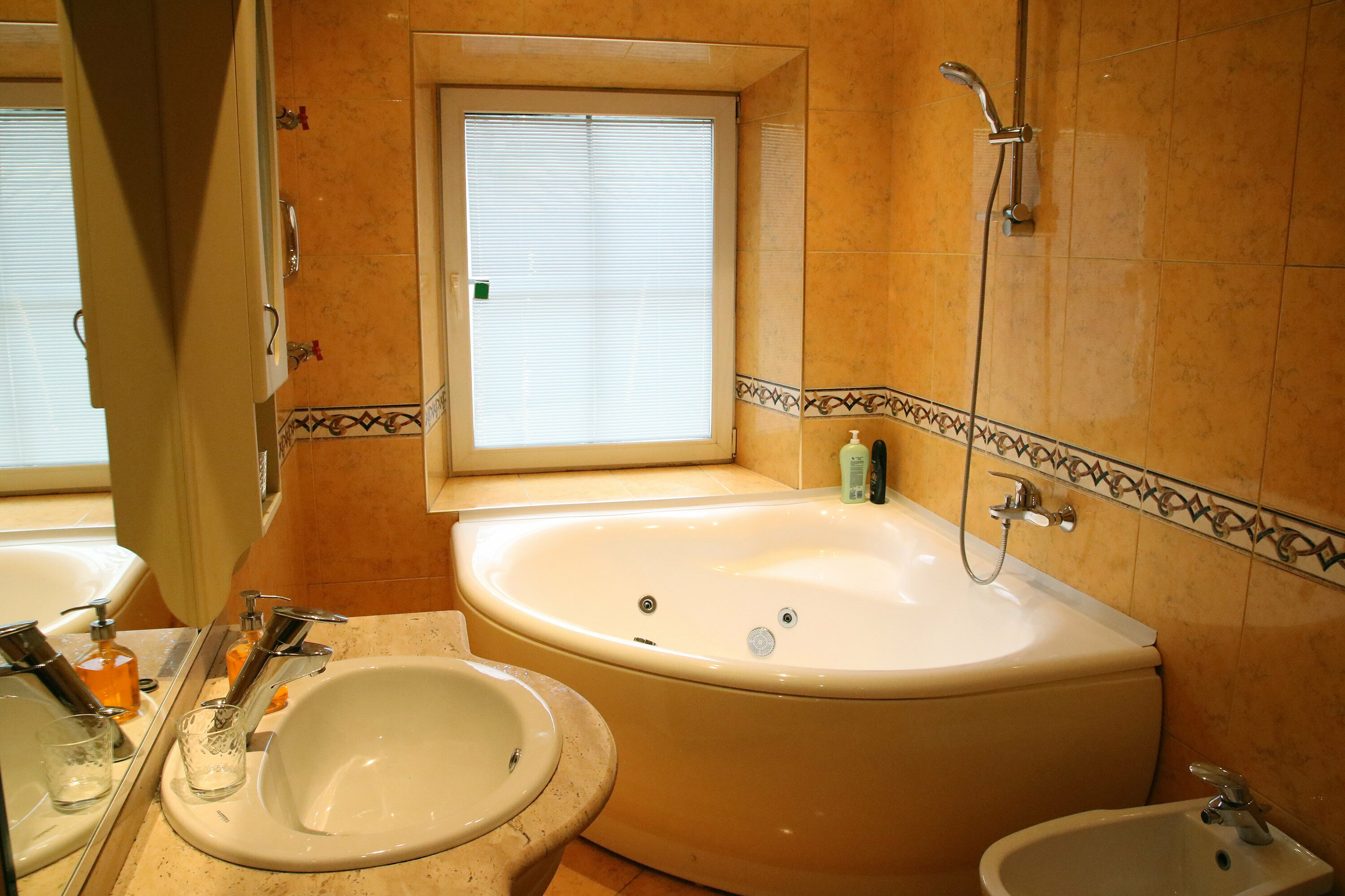 Двухместный номер с 1 кроватью и гидромассажной ванной