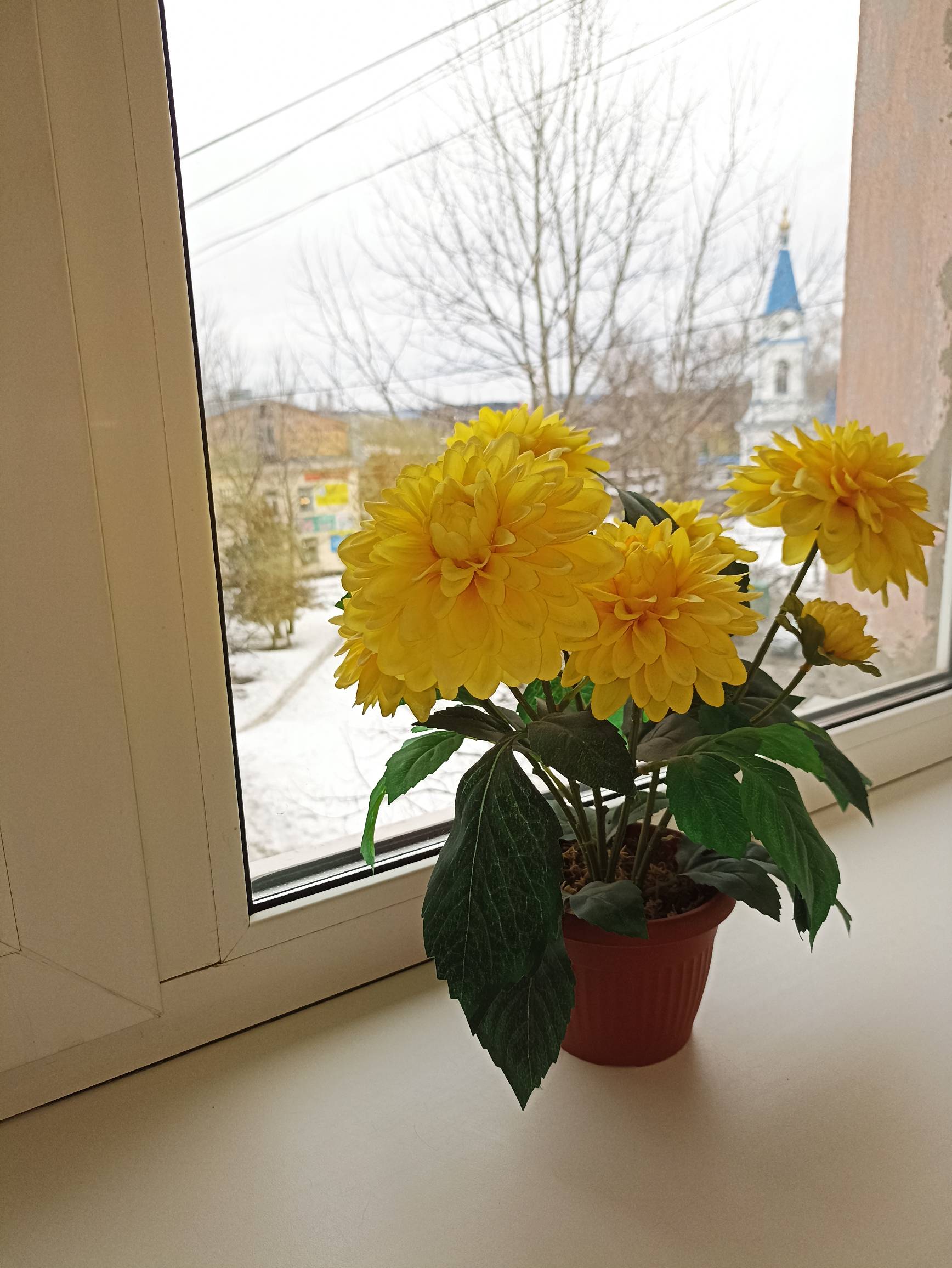 Стандартные апартаменты