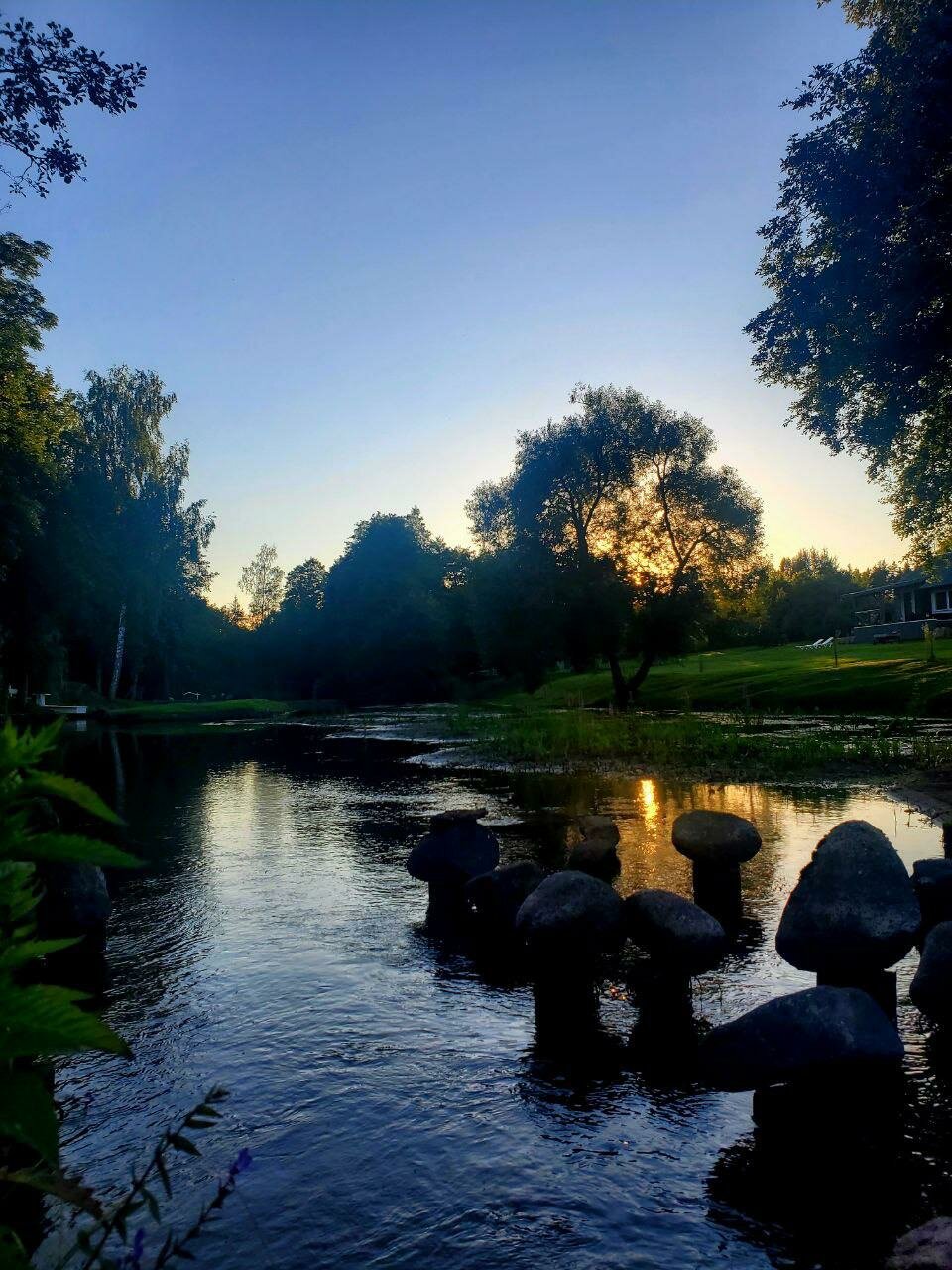 Дом с видом на лес