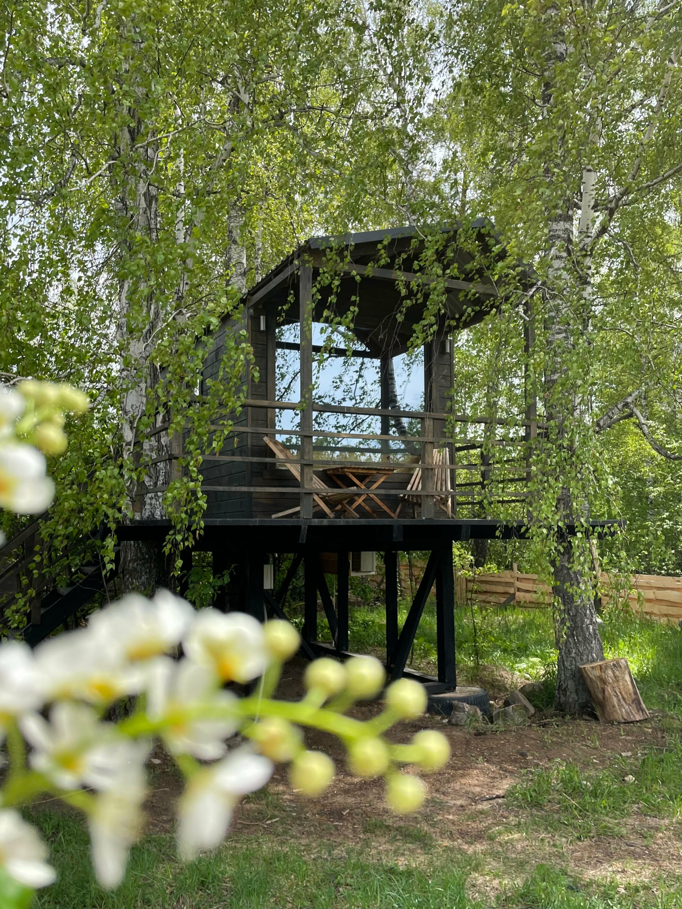 Домик на ДЕРЕВЕ