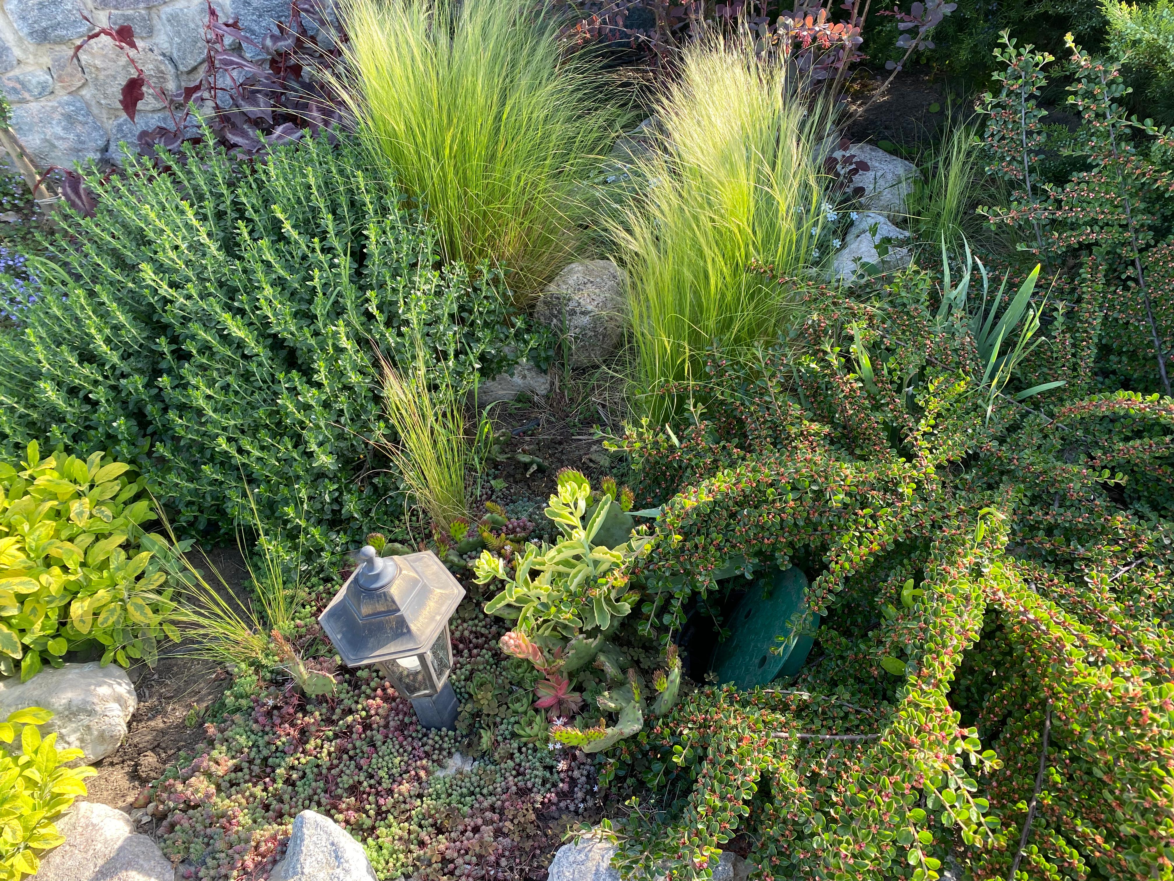 Двухместный номер с 2 отдельными кроватями, вид на море