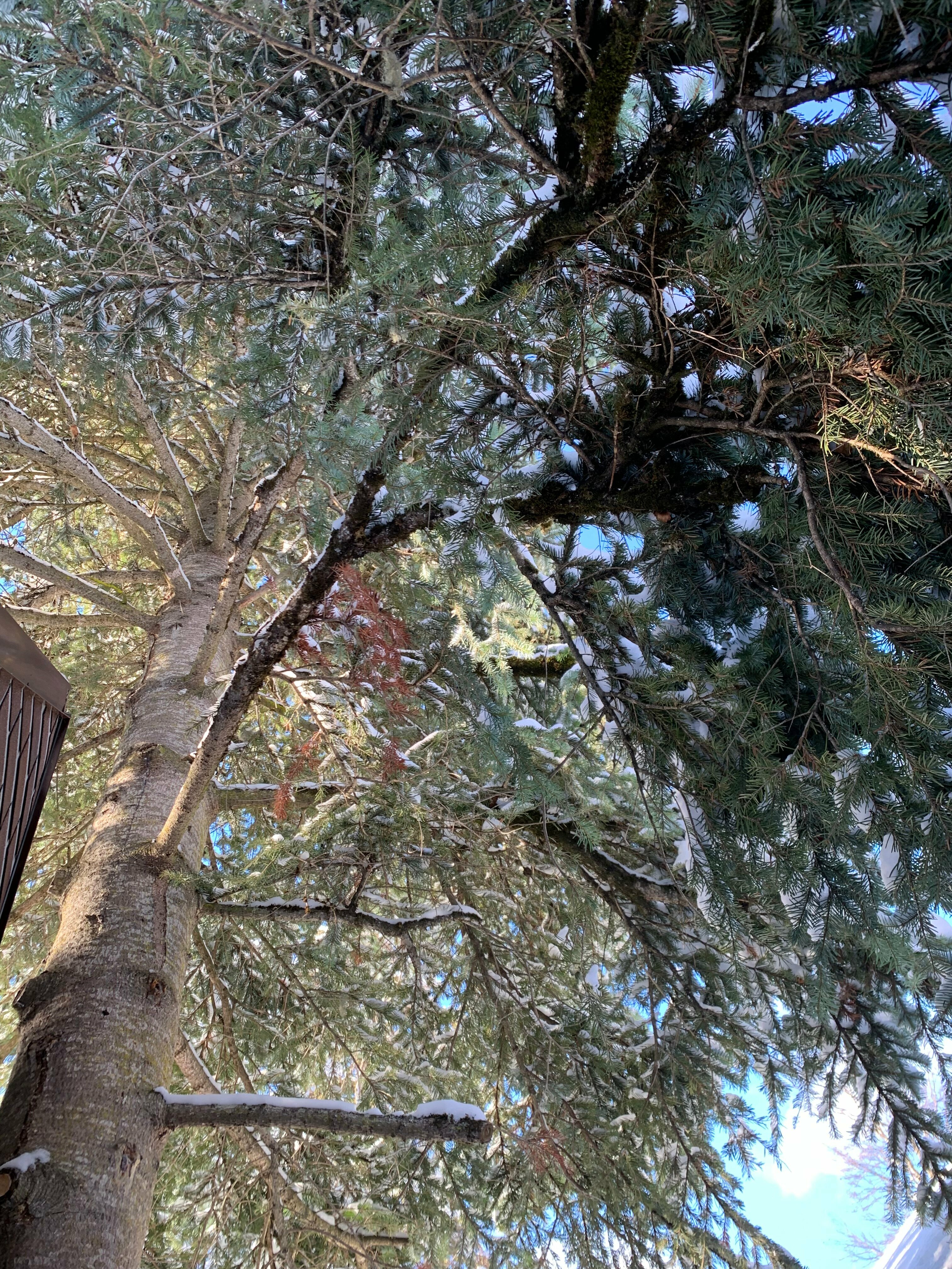 Апартаменты - 1-й этаж