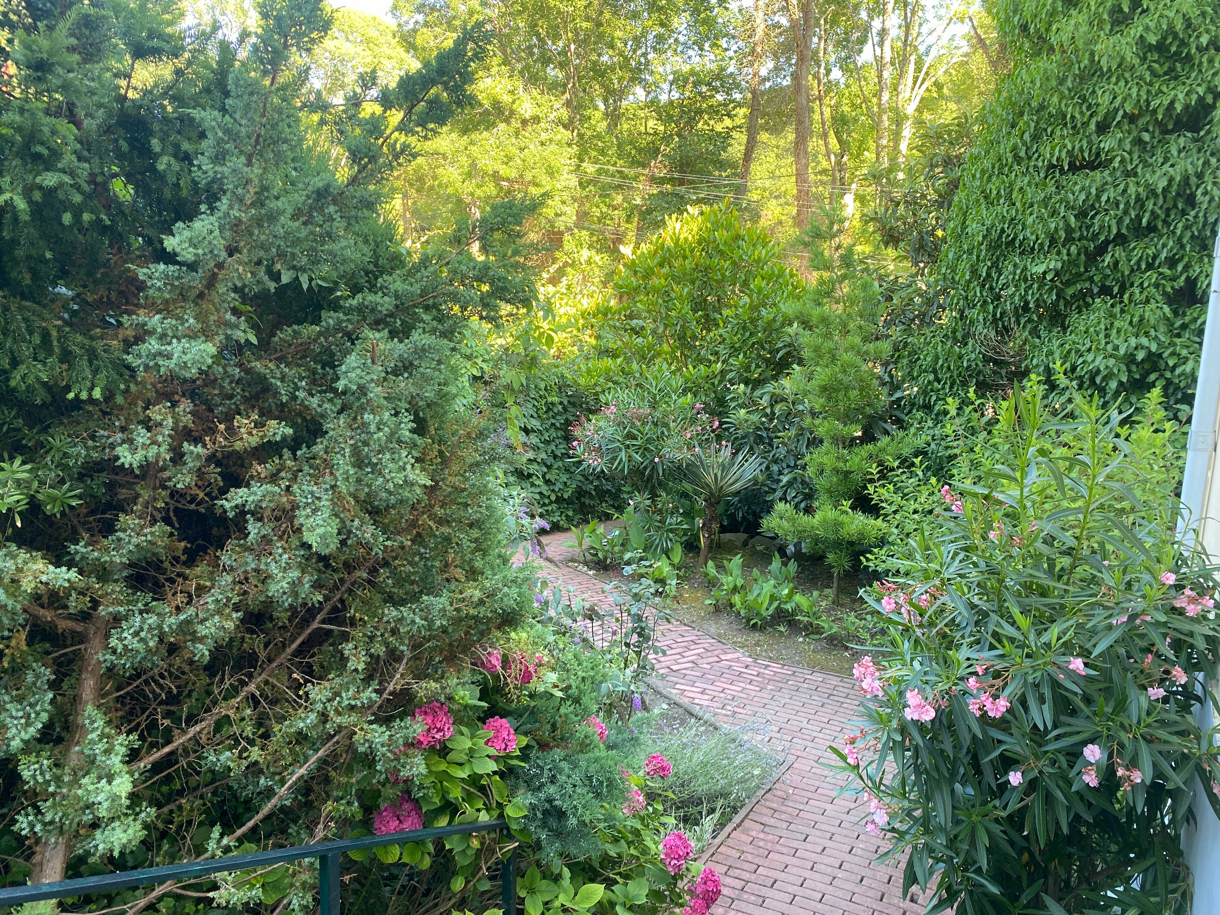 Апартаменты с видом на море