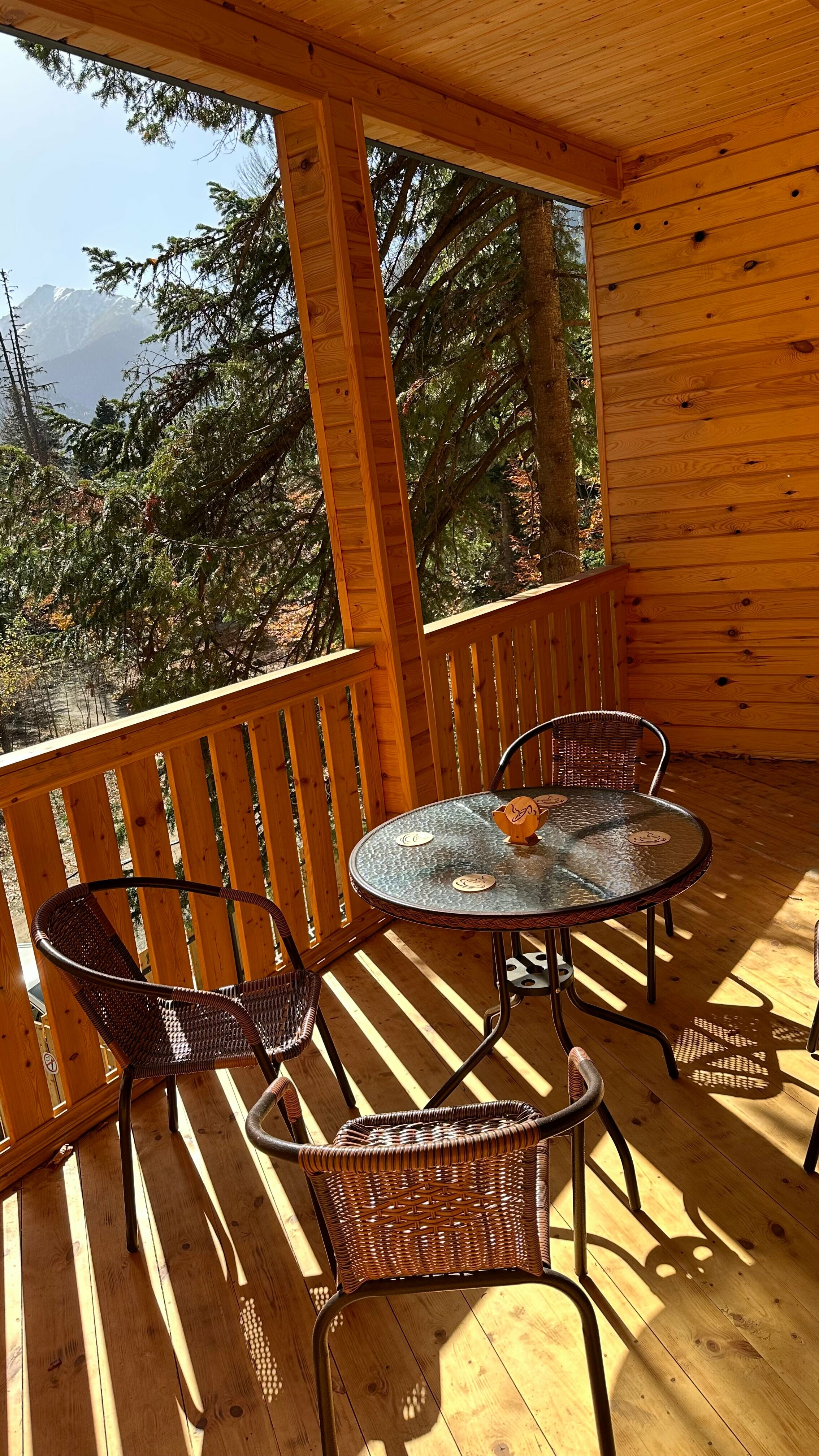 Номер-студия с видом на горы