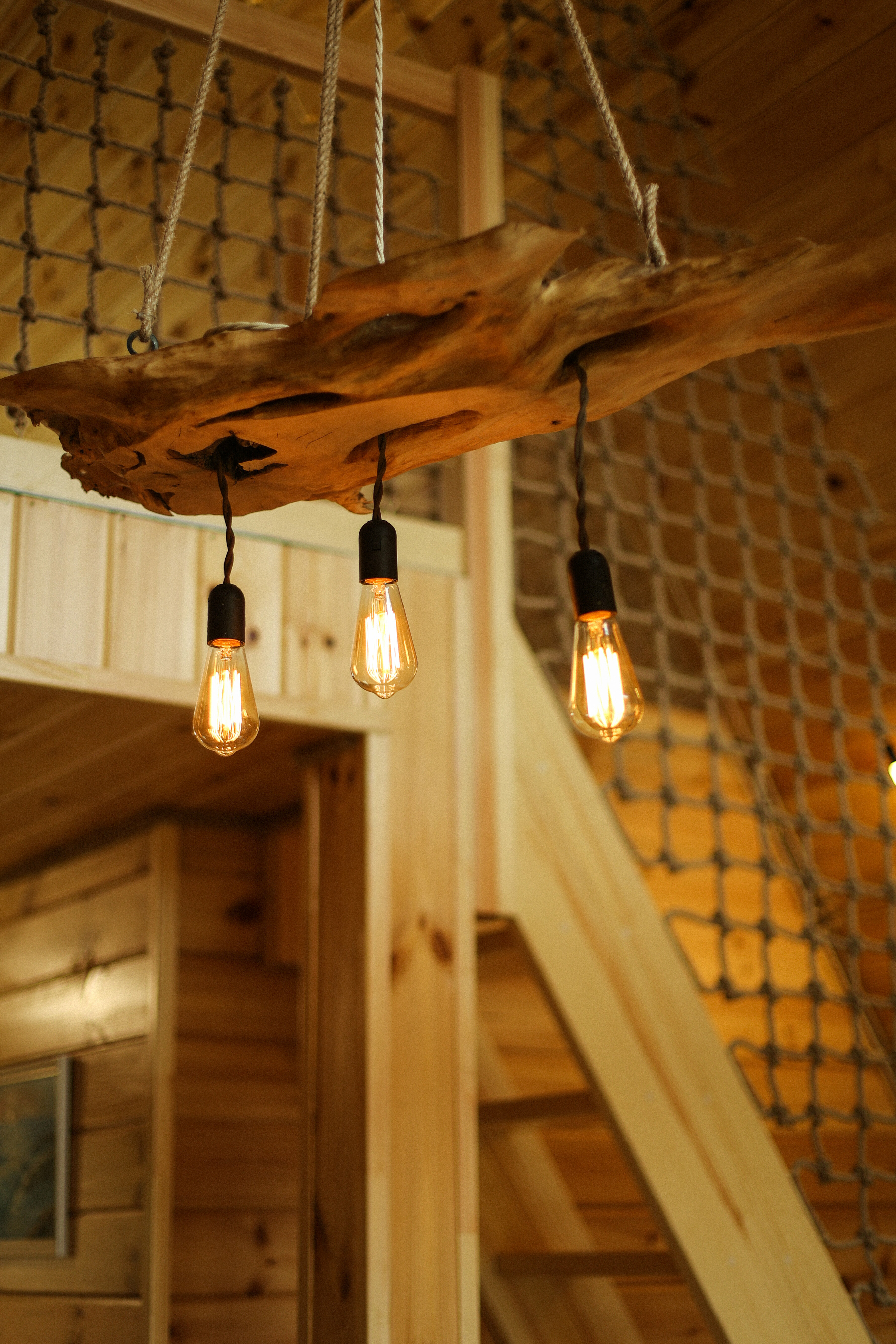 Дом с видом на лес