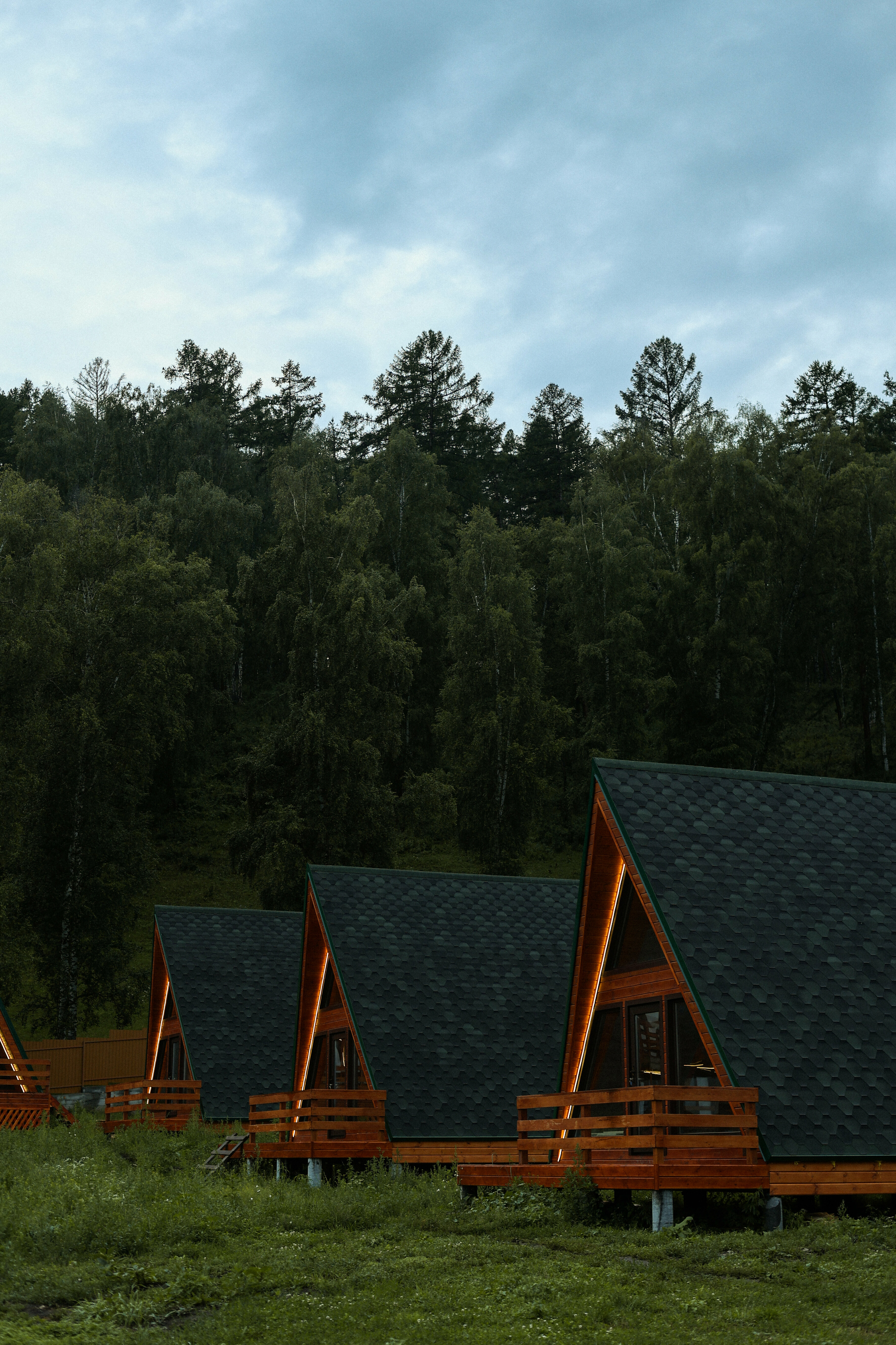 Дом с видом на лес