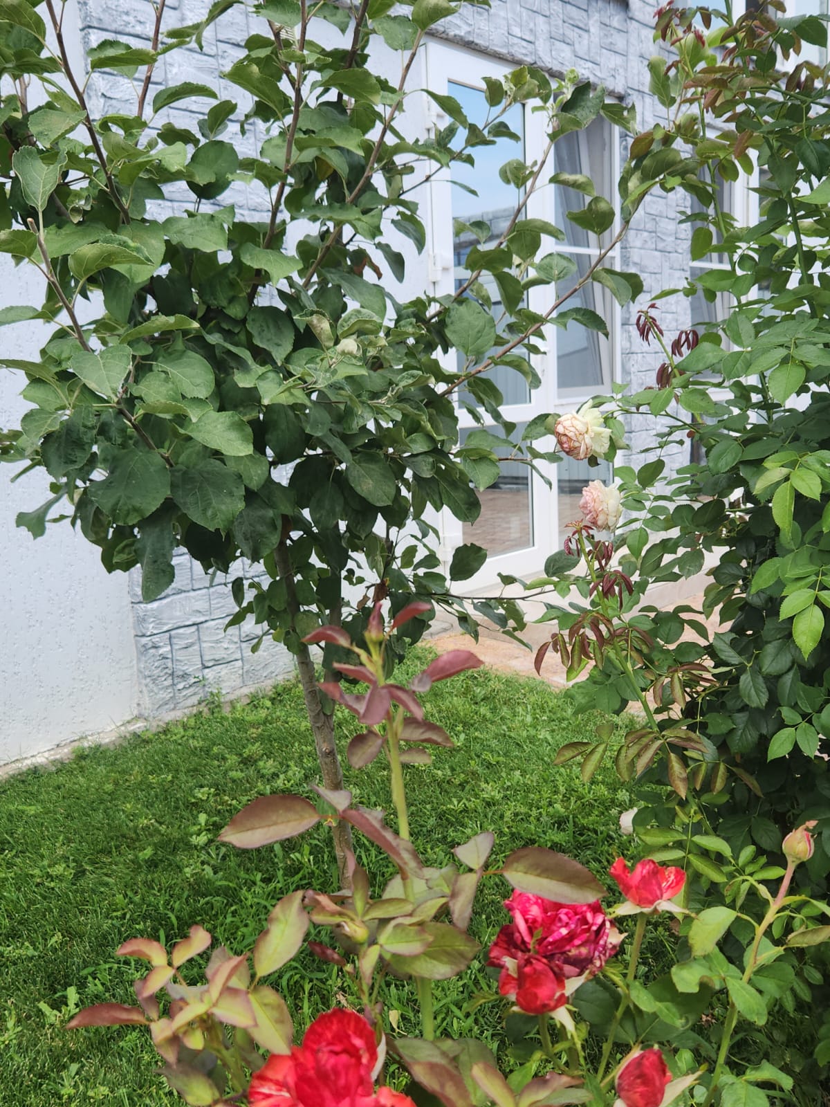 Номер-студия