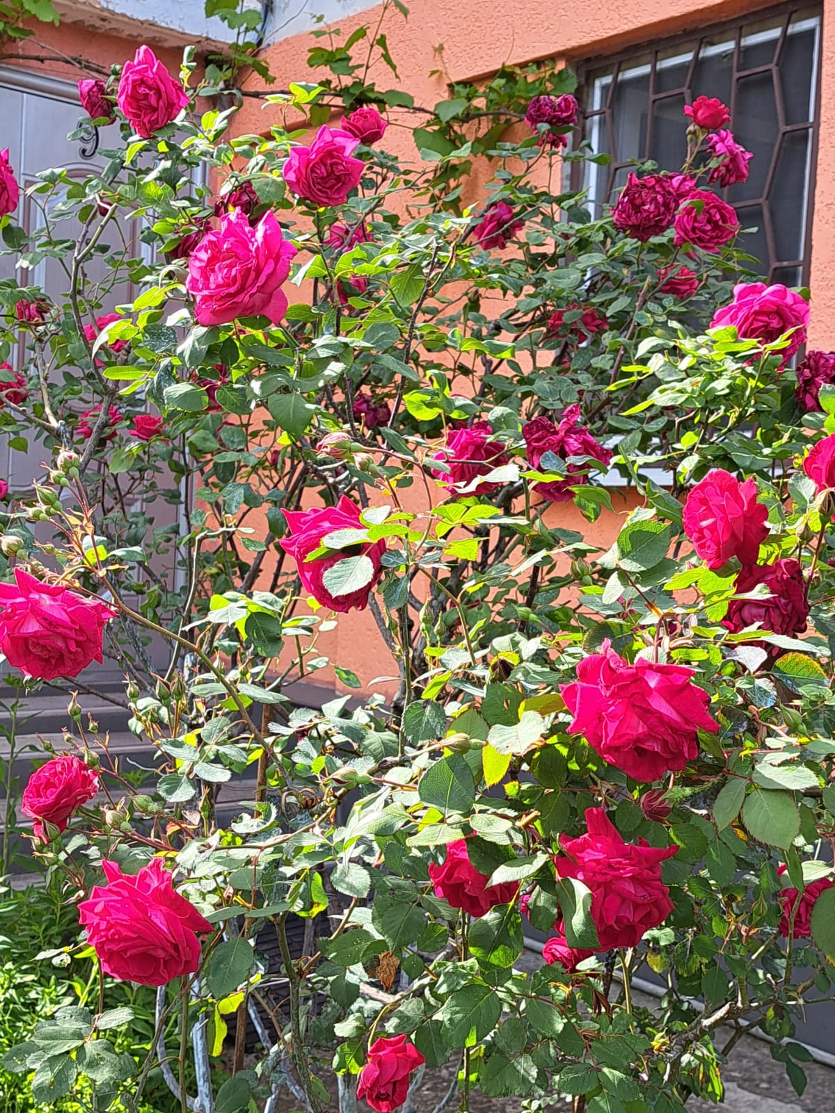 Апартаменты с 2 спальнями