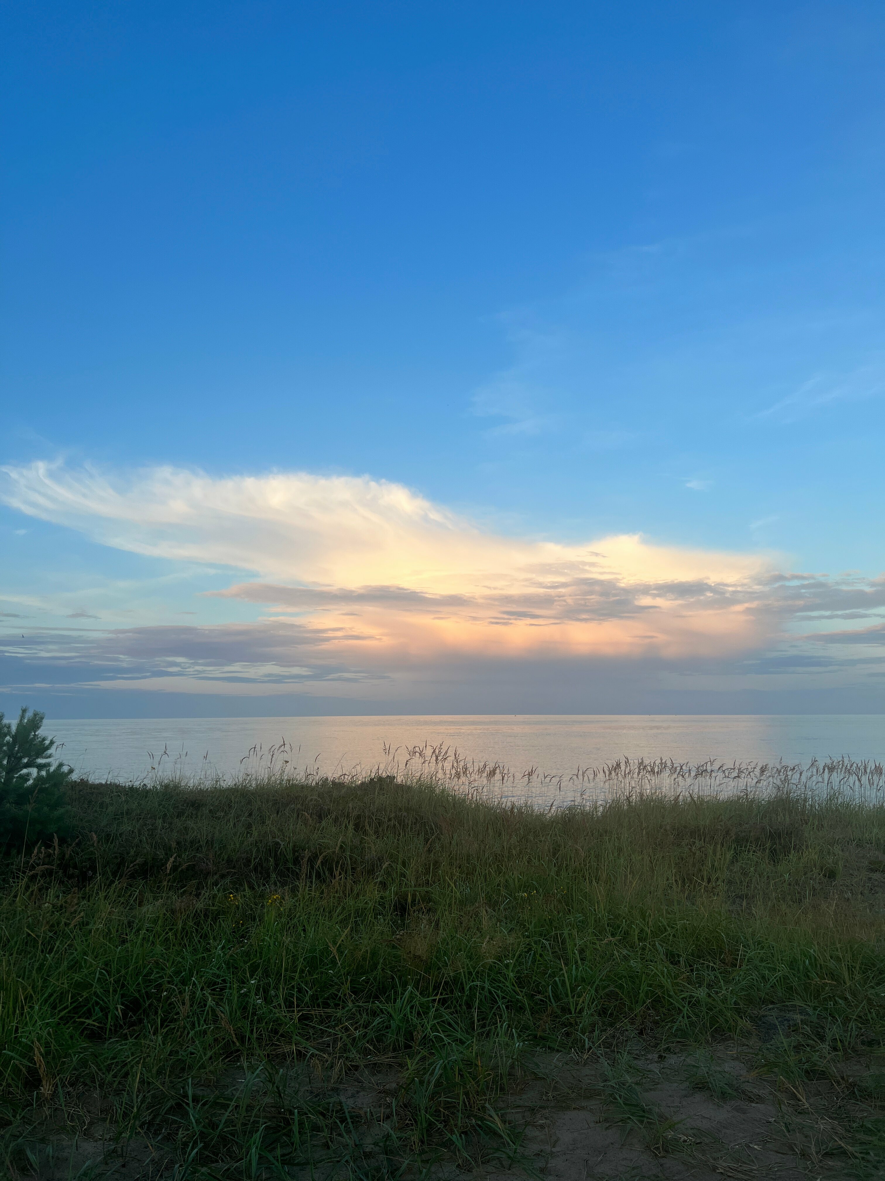 Дом для отпуска