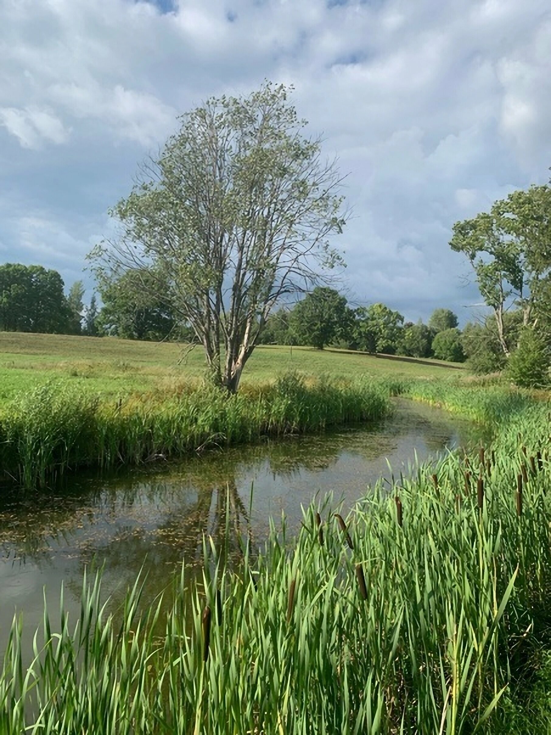 Дом с 2 спальнями