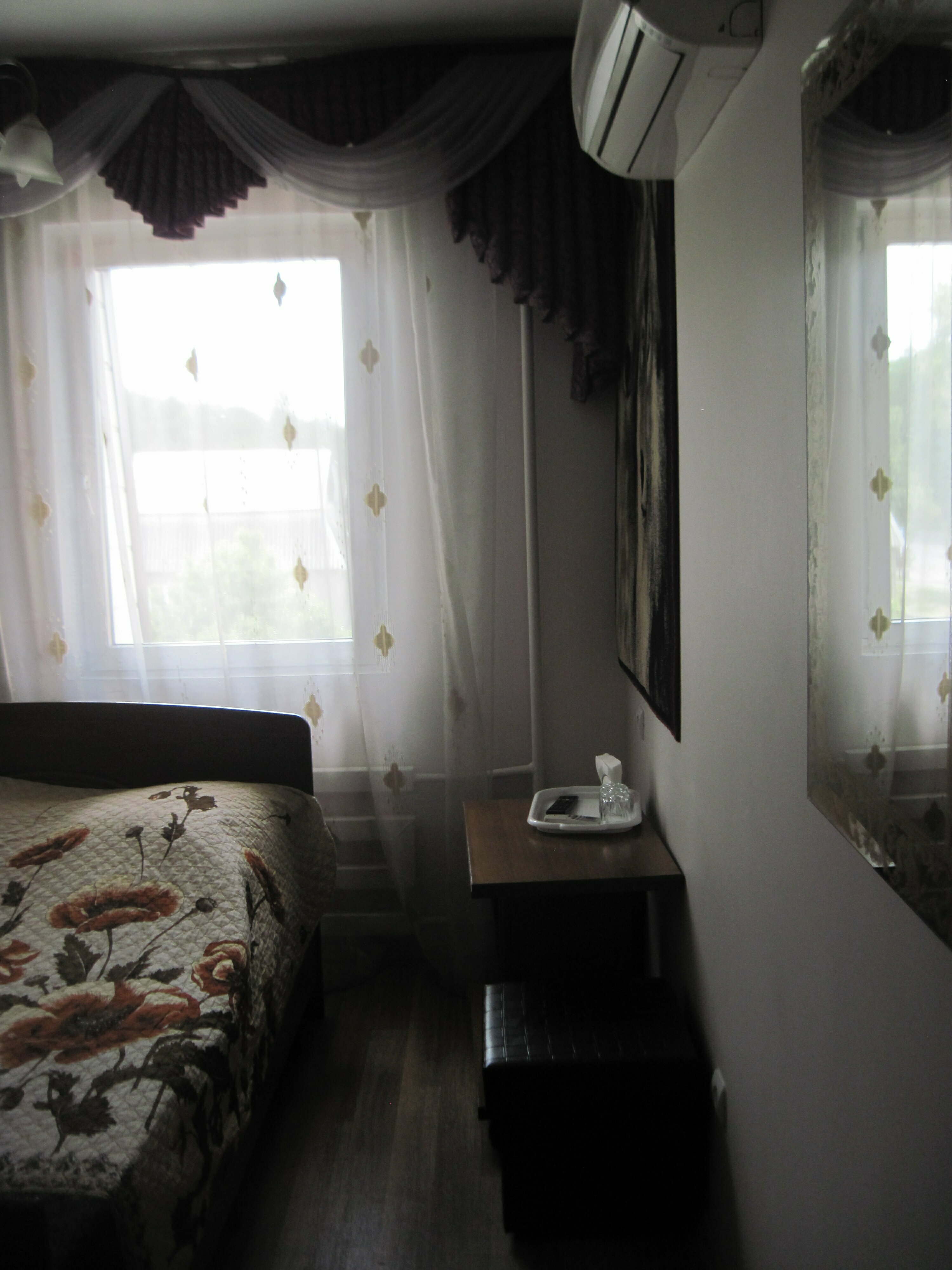 Двухместный номер с 1 кроватью и видом на парк