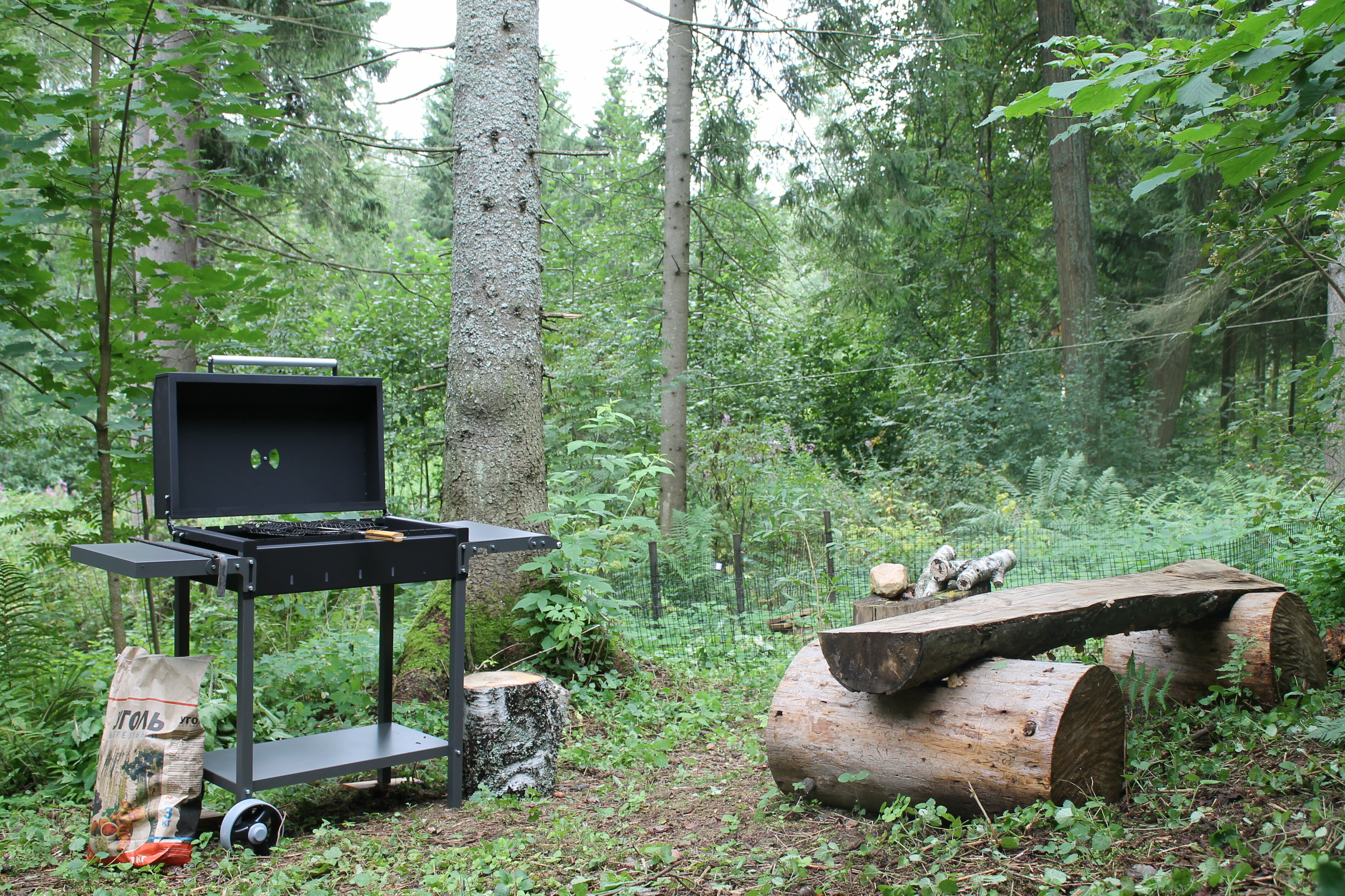 дом в лесу с ванной у панорамных окон