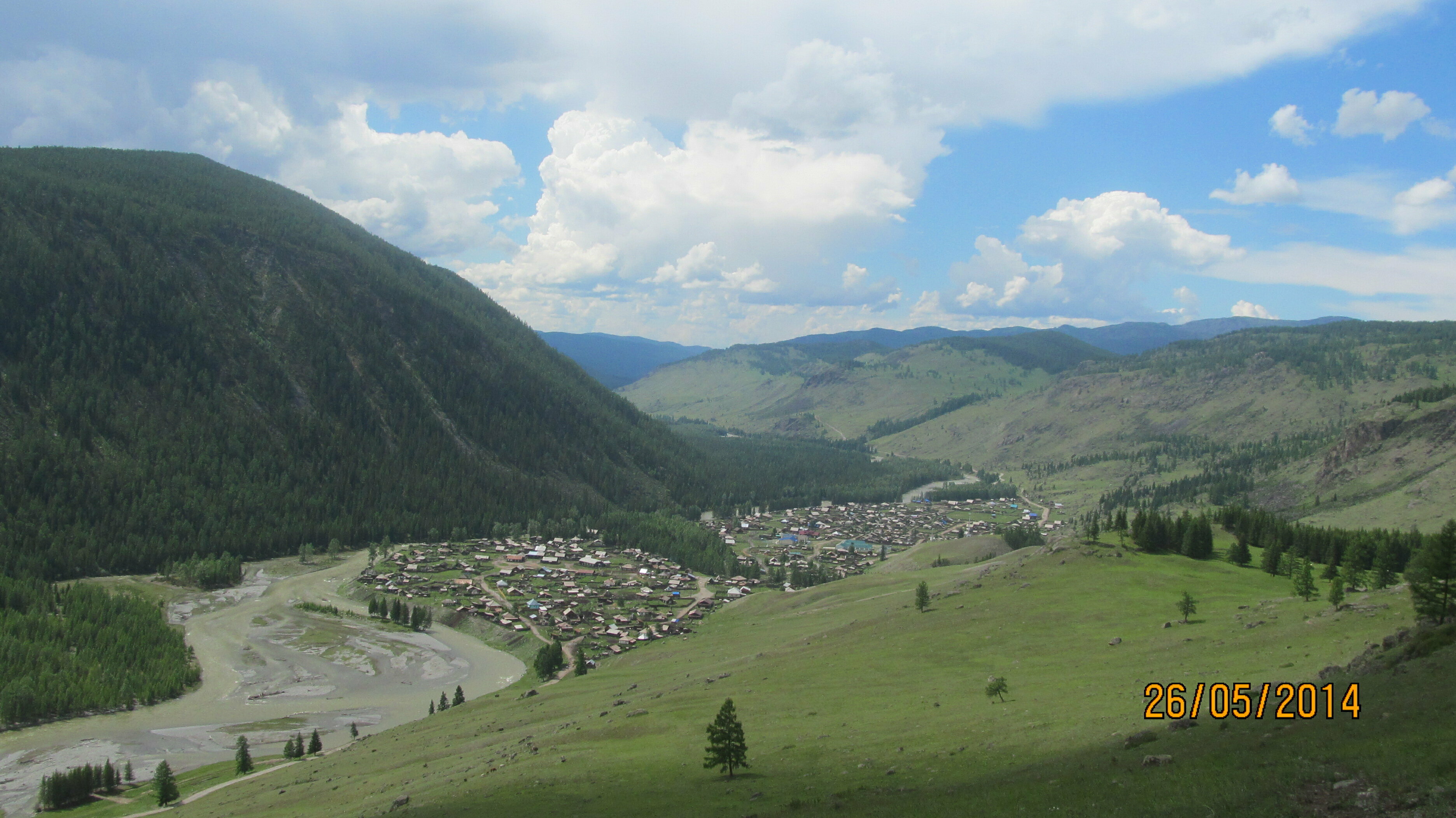 Дом с видом на лес