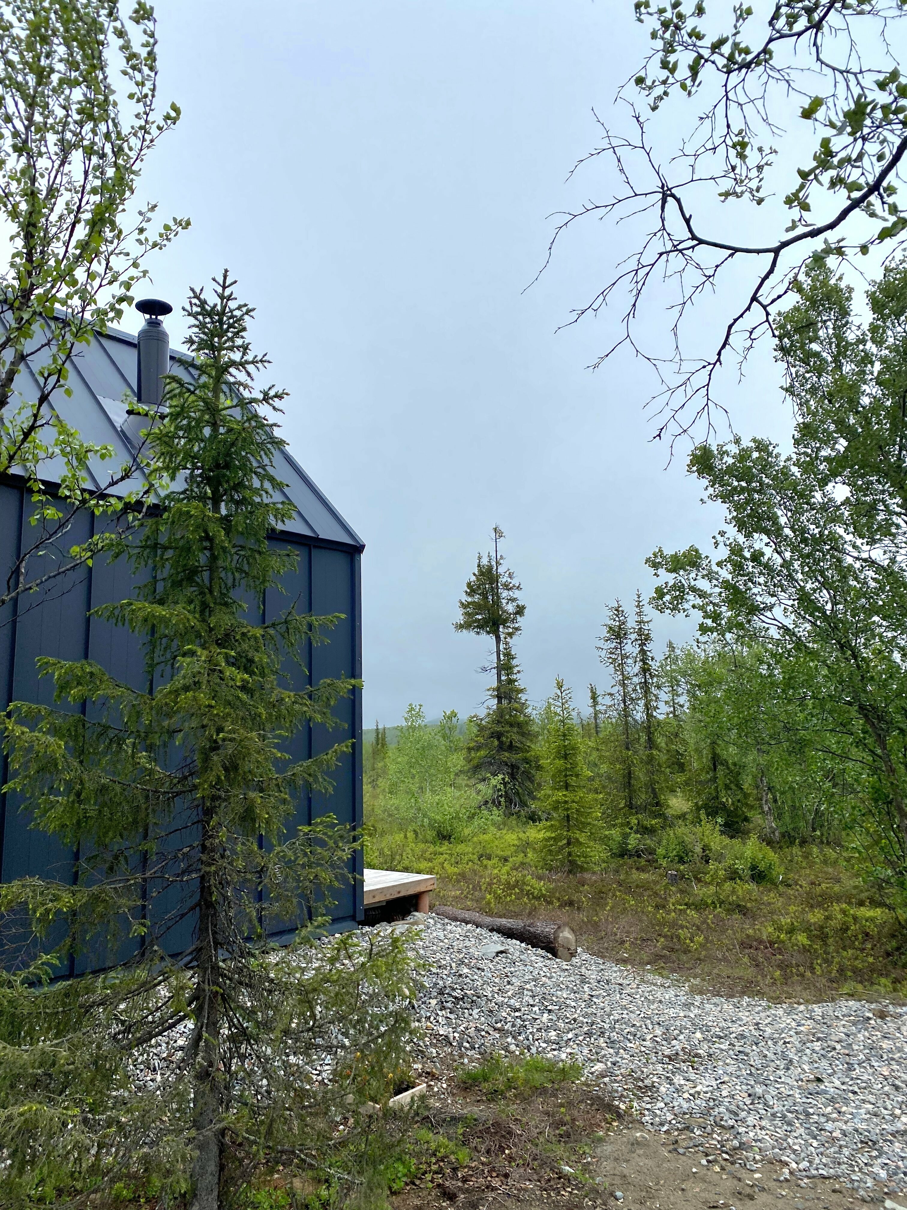 Коттедж с видом на лес