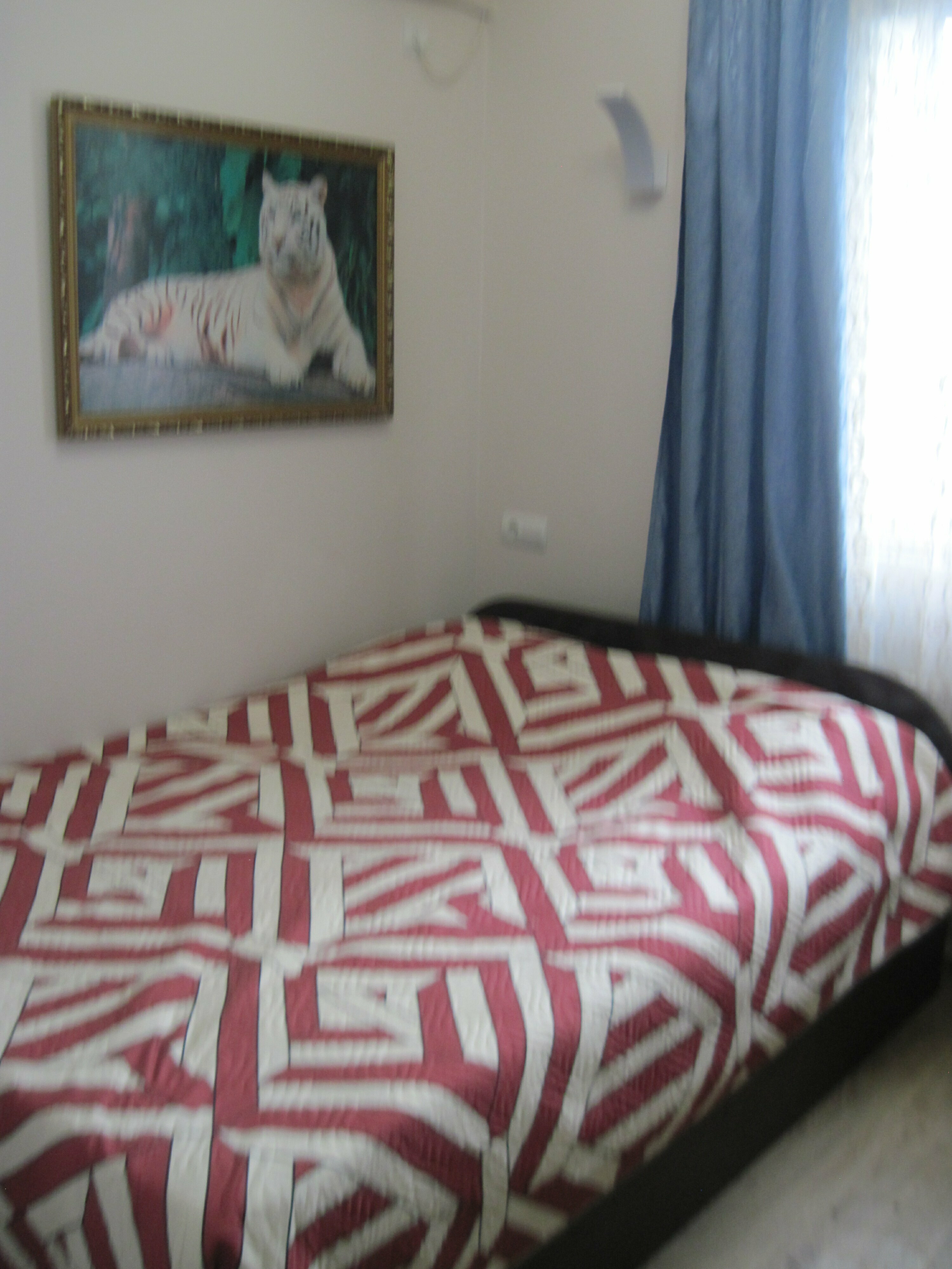 Двухместный номер Делюкс с 1 кроватью