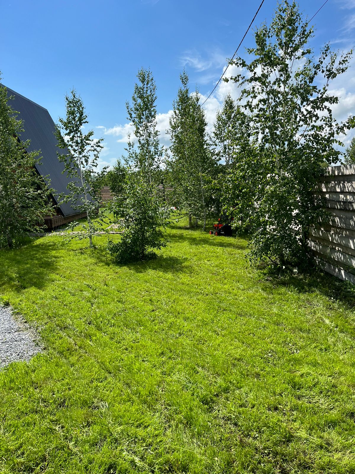 Дом с видом на лес