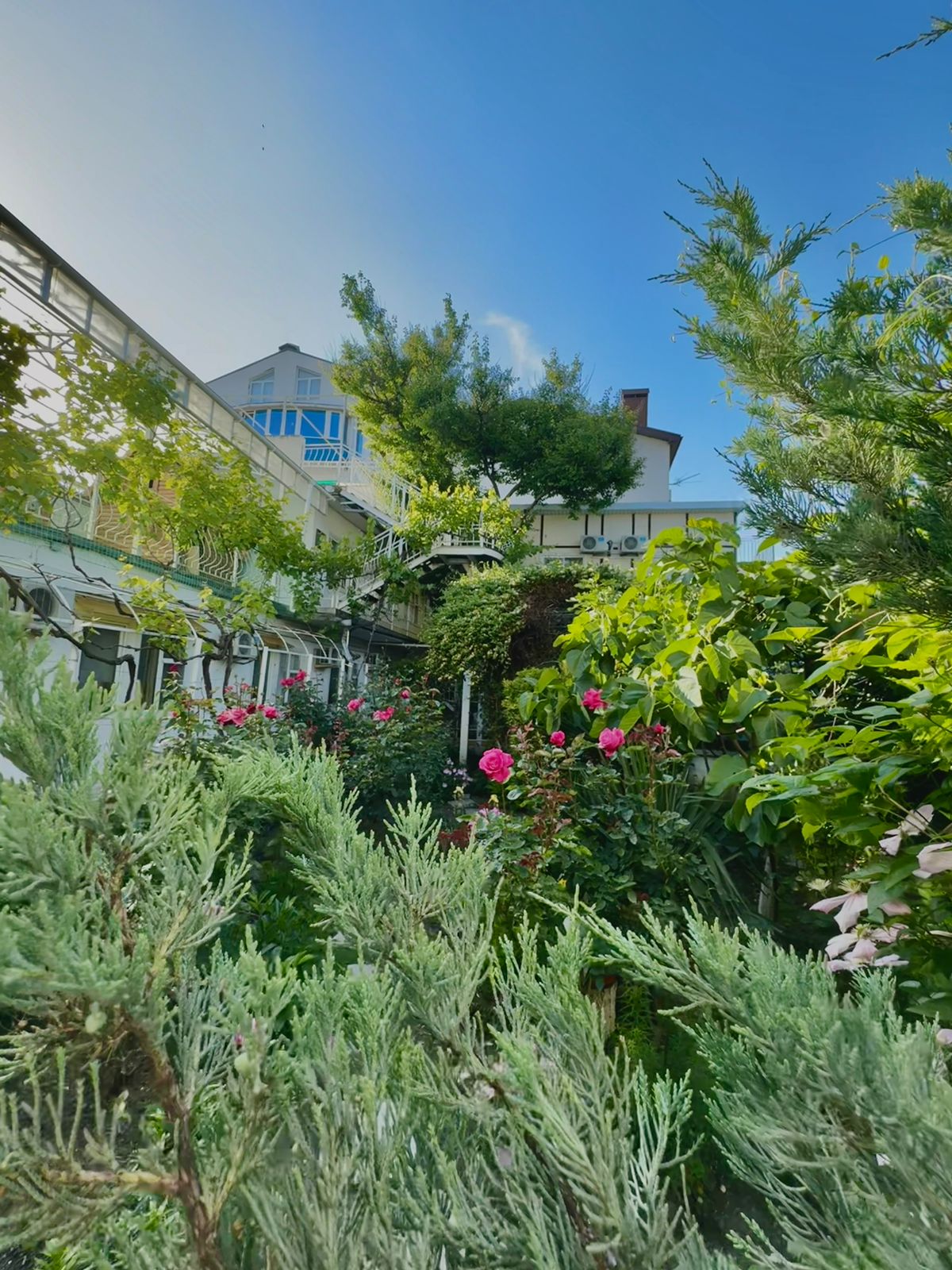 Трехместный номер «Комфорт»