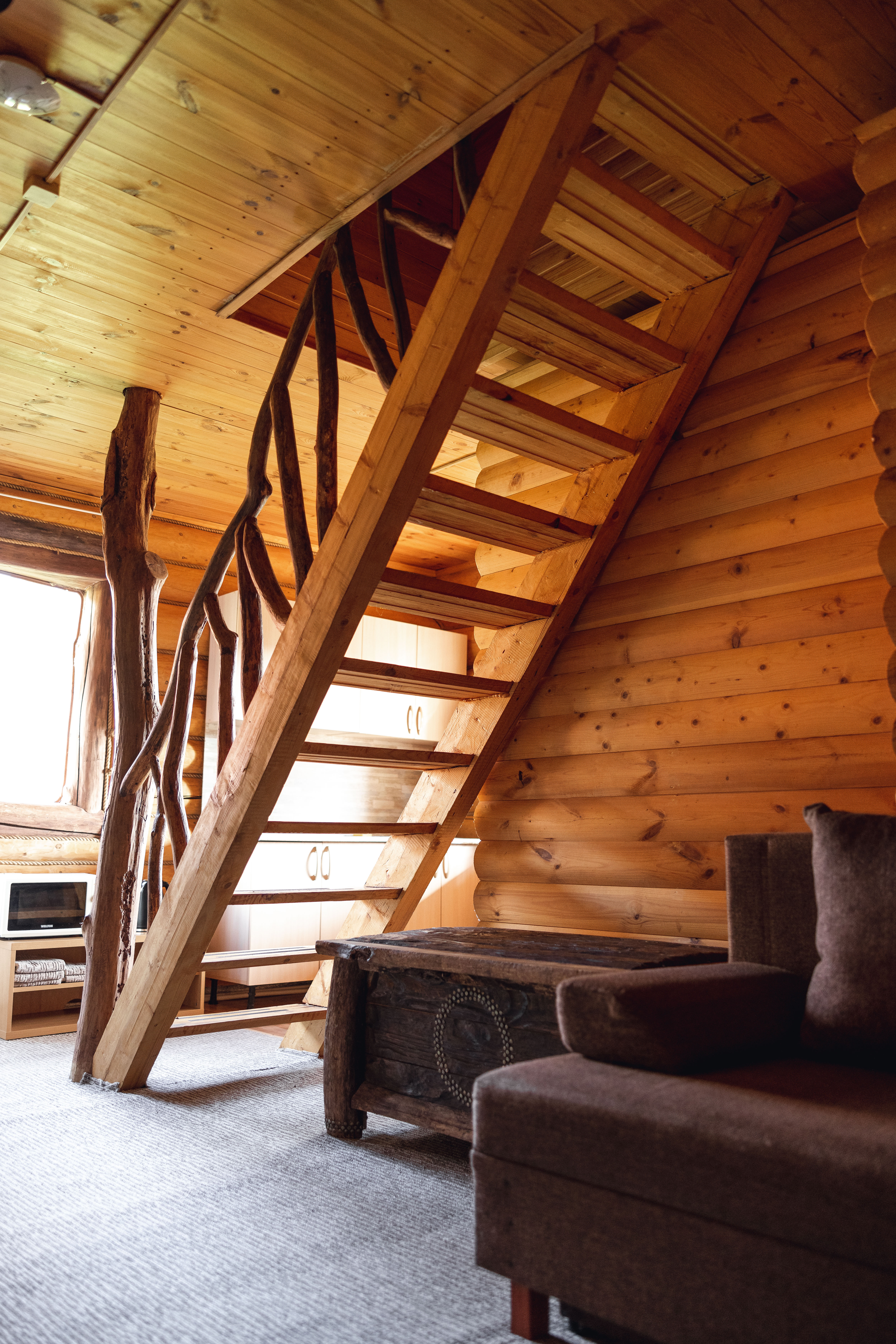 Дом с видом на лес