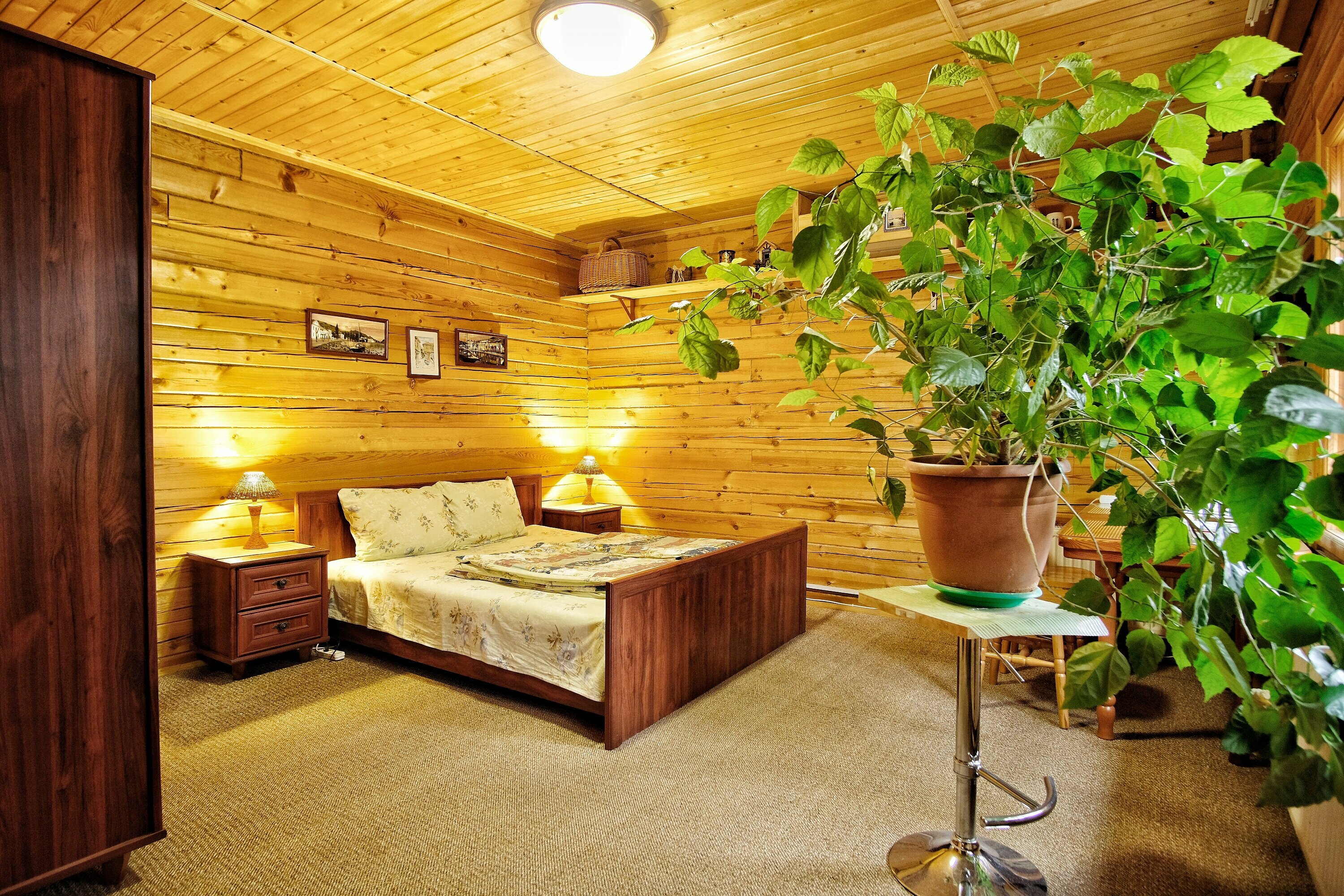 Стандартный двухместный номер с 1 кроватью или 2 отдельными кроватями, вид на сад