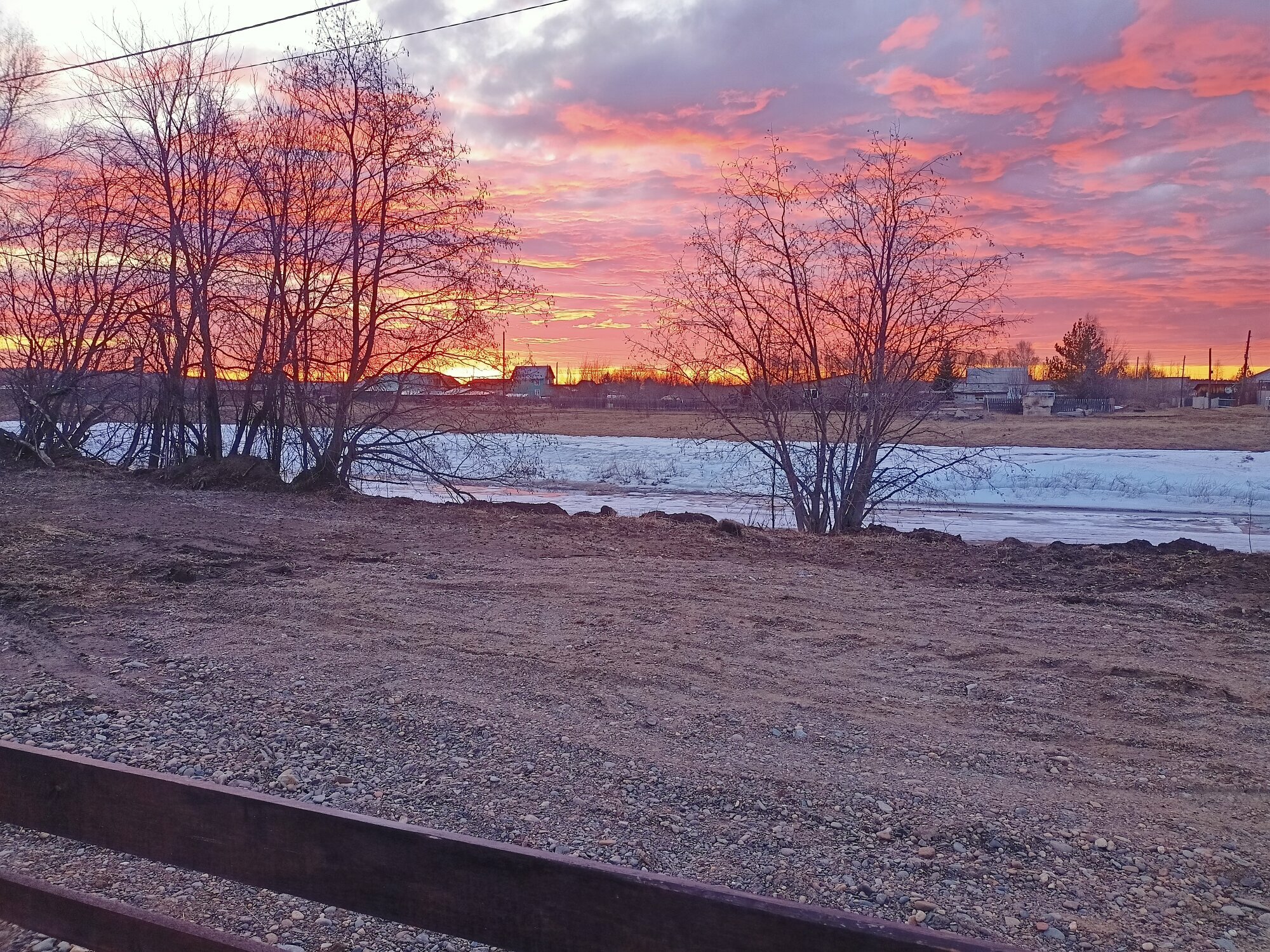 Дом с видом на лес