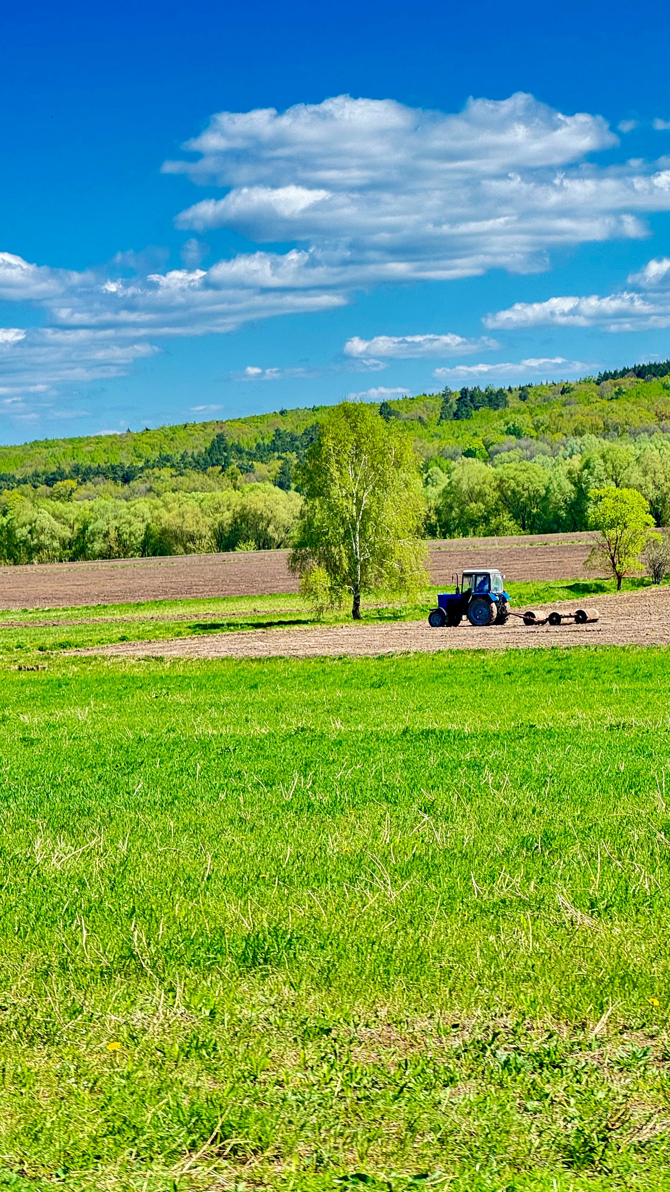 Двухместный номер с 1 кроватью и террасой