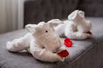 Семейный номер (Suite) в Rosaleen Boutique Hotel