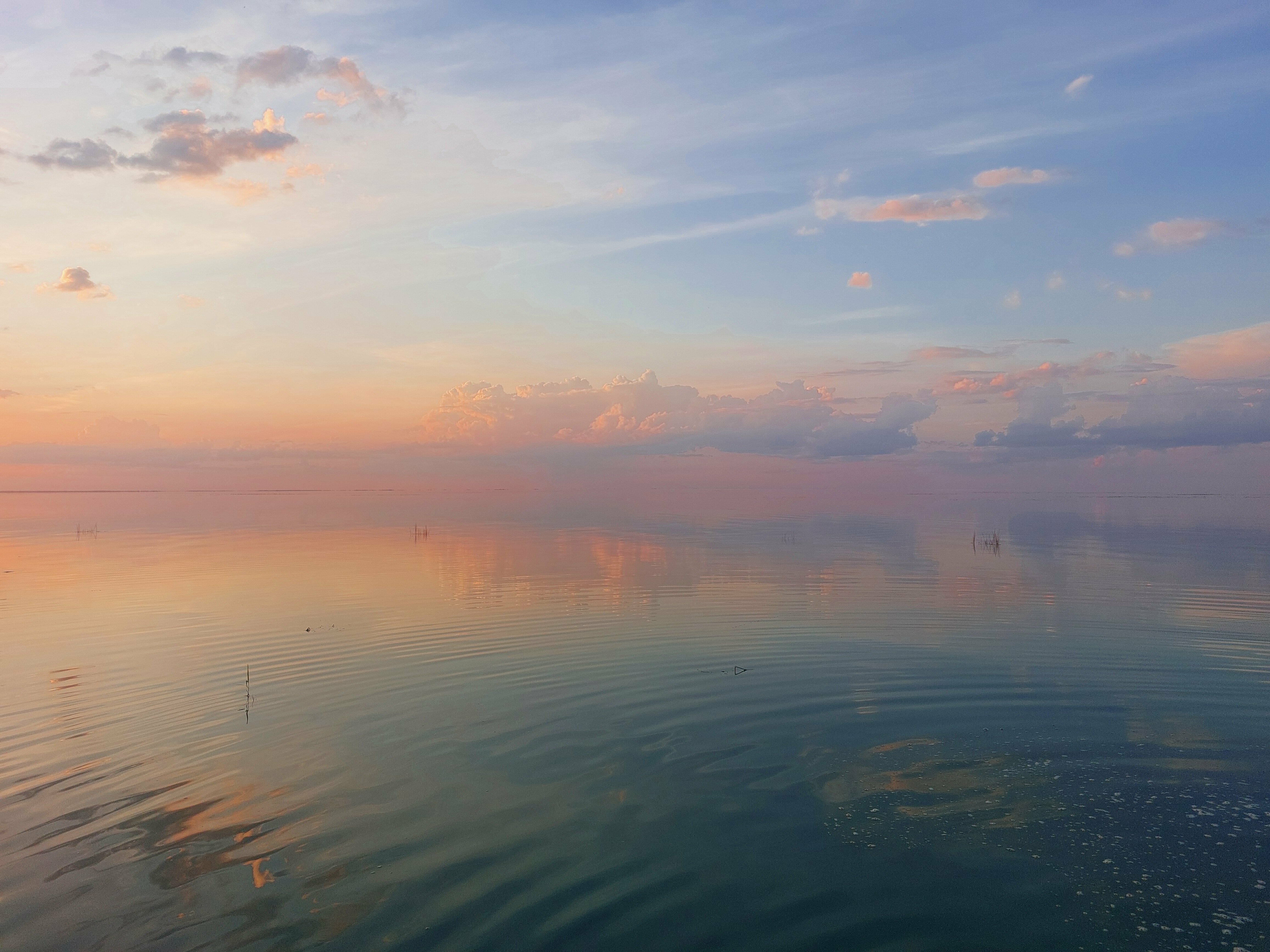 Дом с панорамными окнами