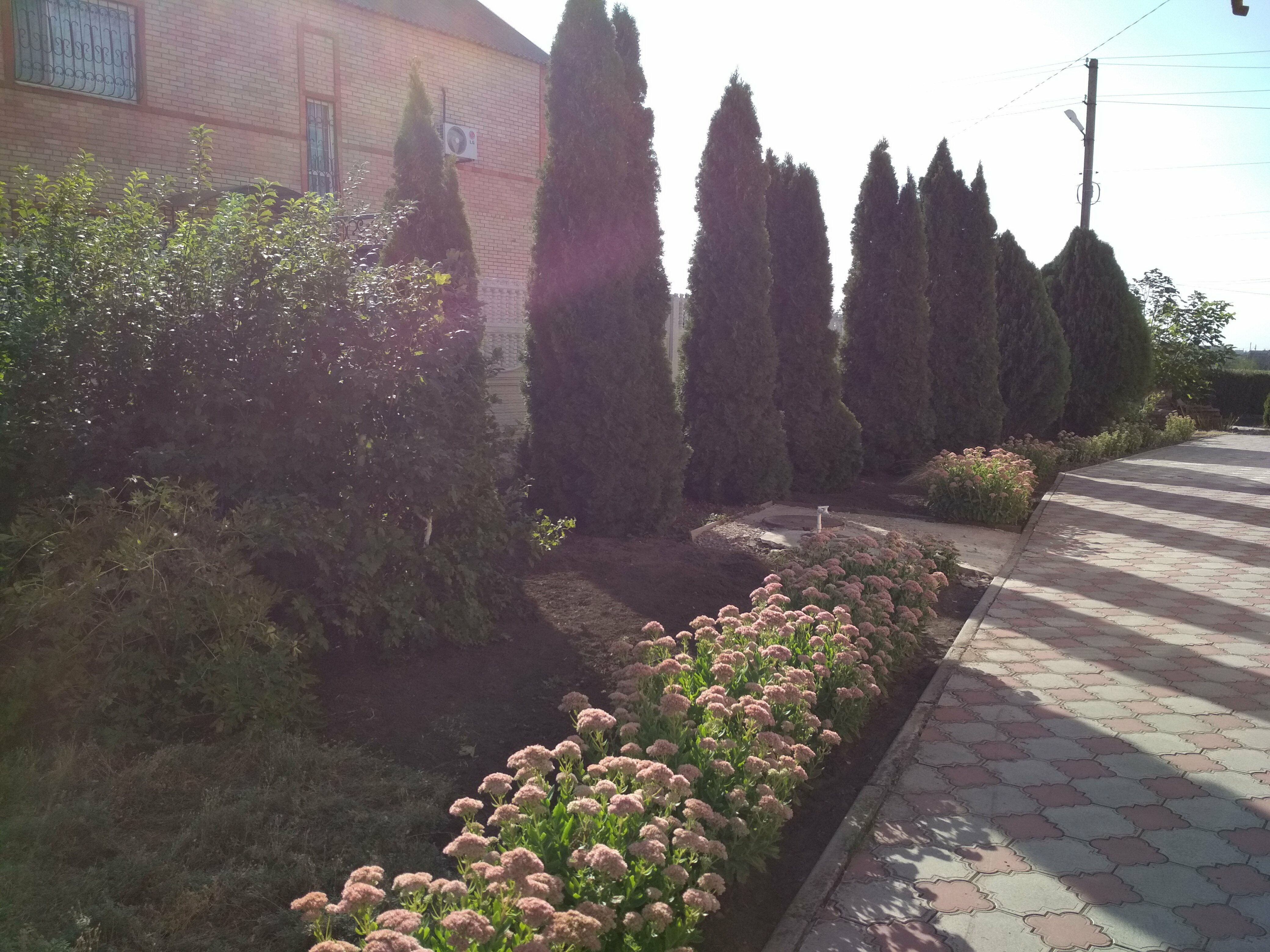 Одноместный номер с душем