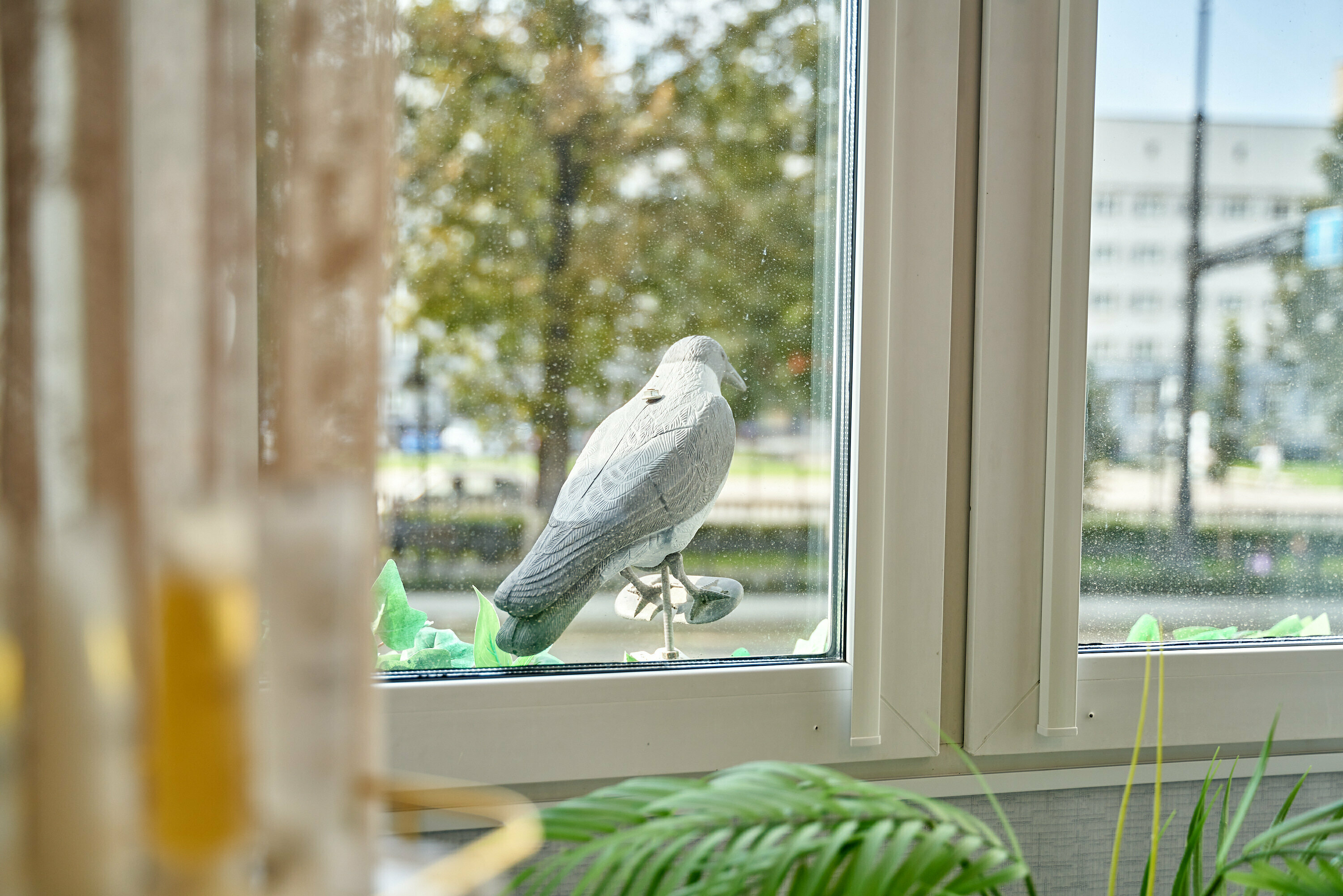 Номер с кроватью размера «king-size»