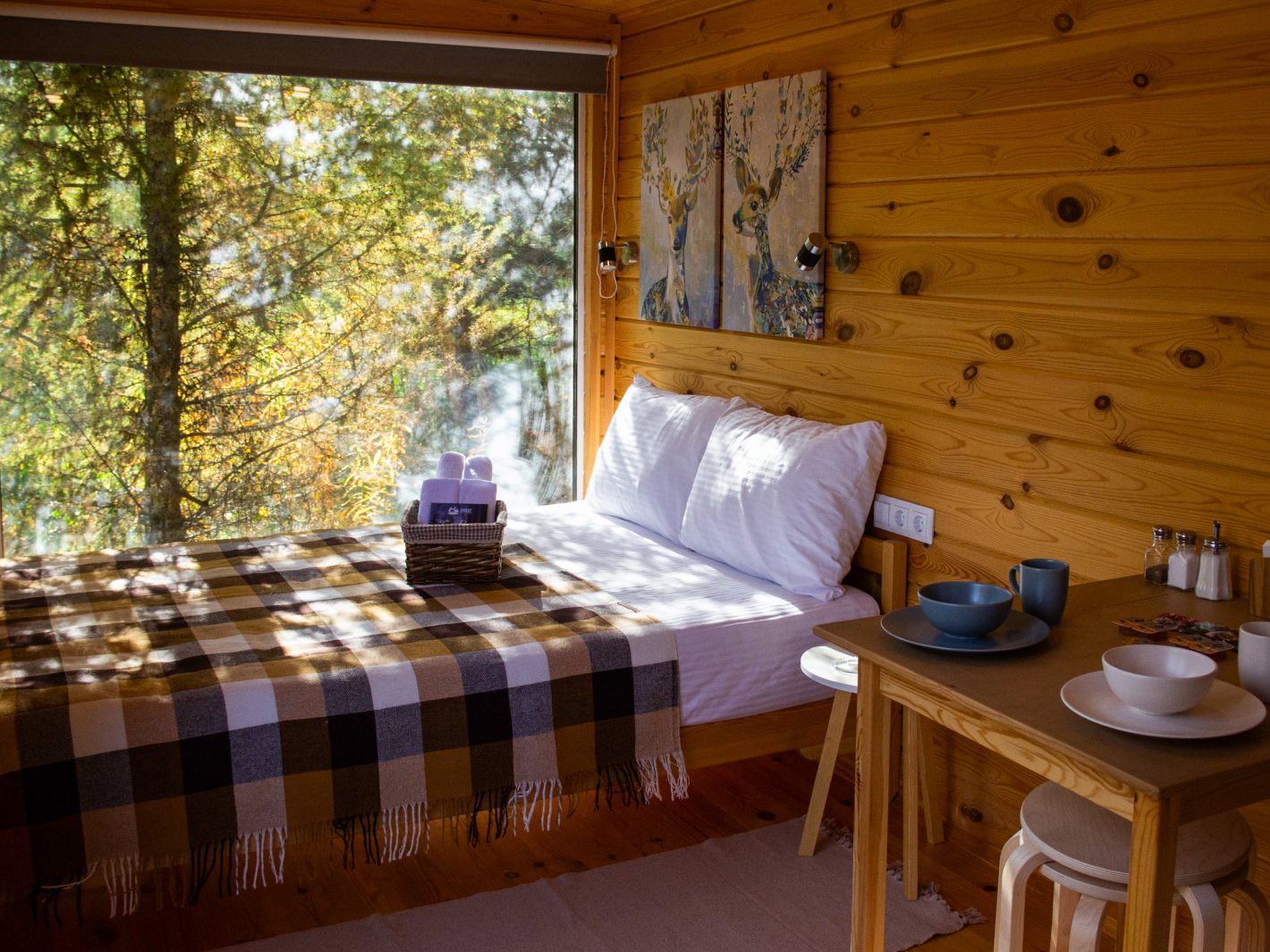 Бюджетный двухместный номер с 1 кроватью