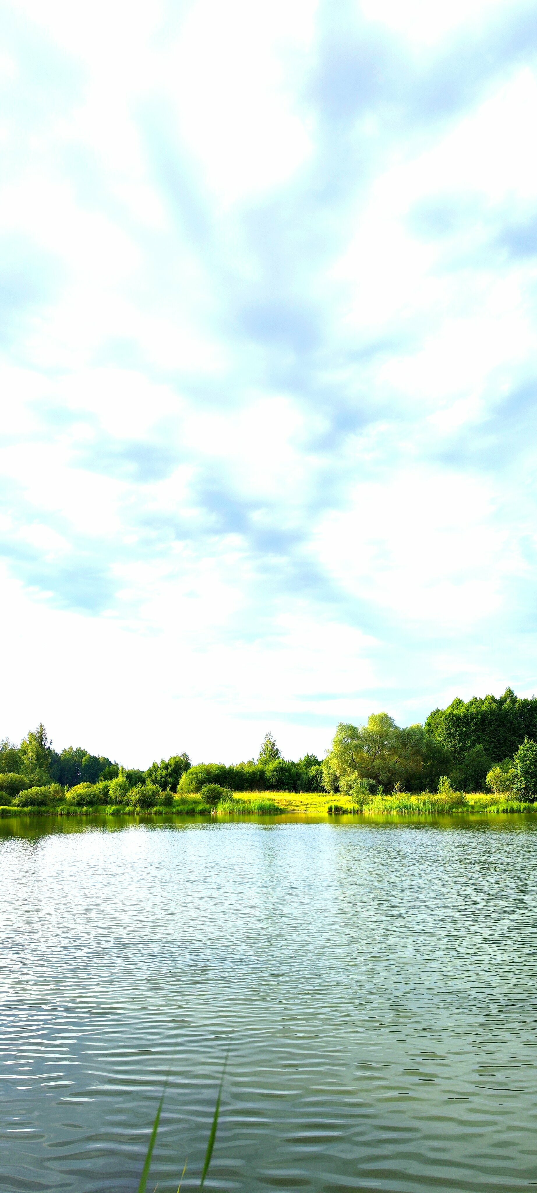 Дом с видом на лес