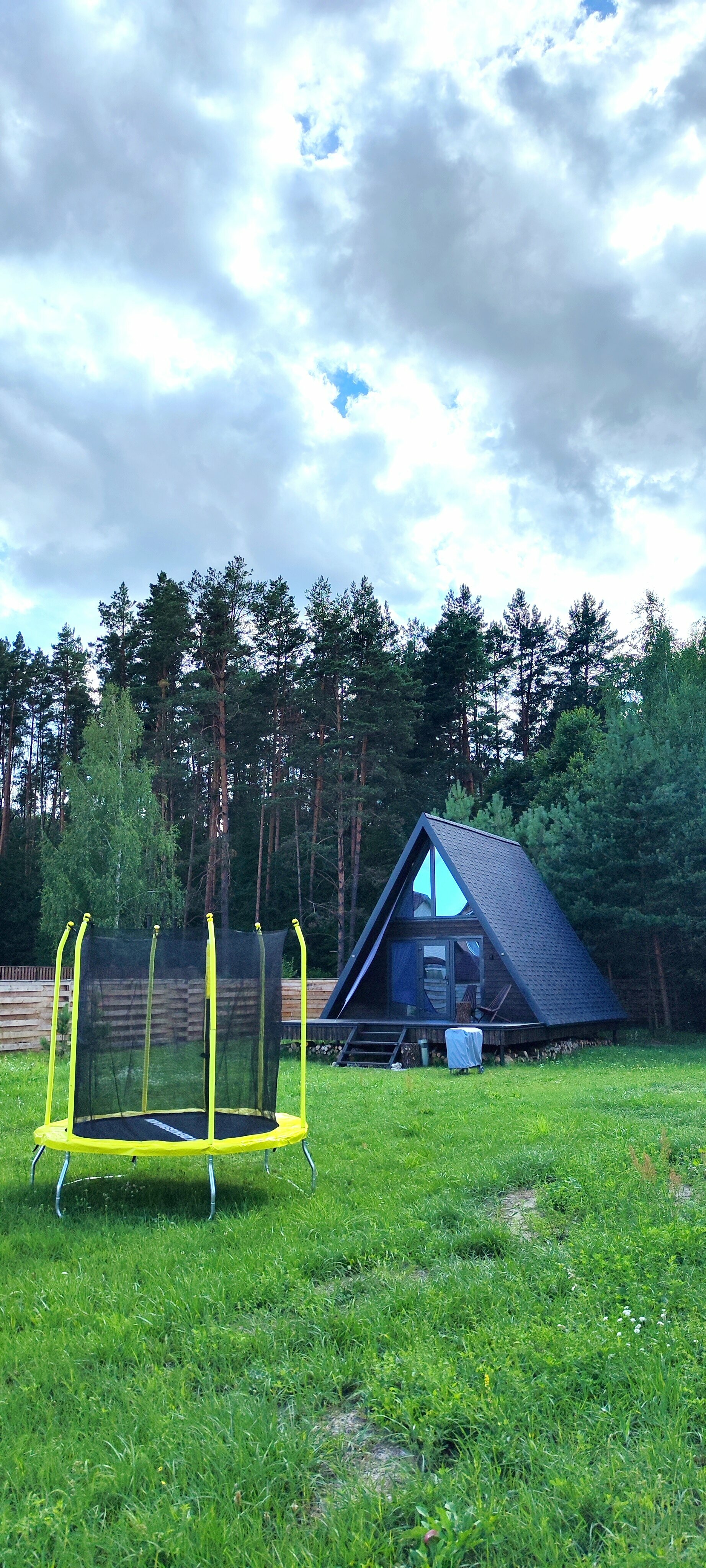 Дом с видом на лес