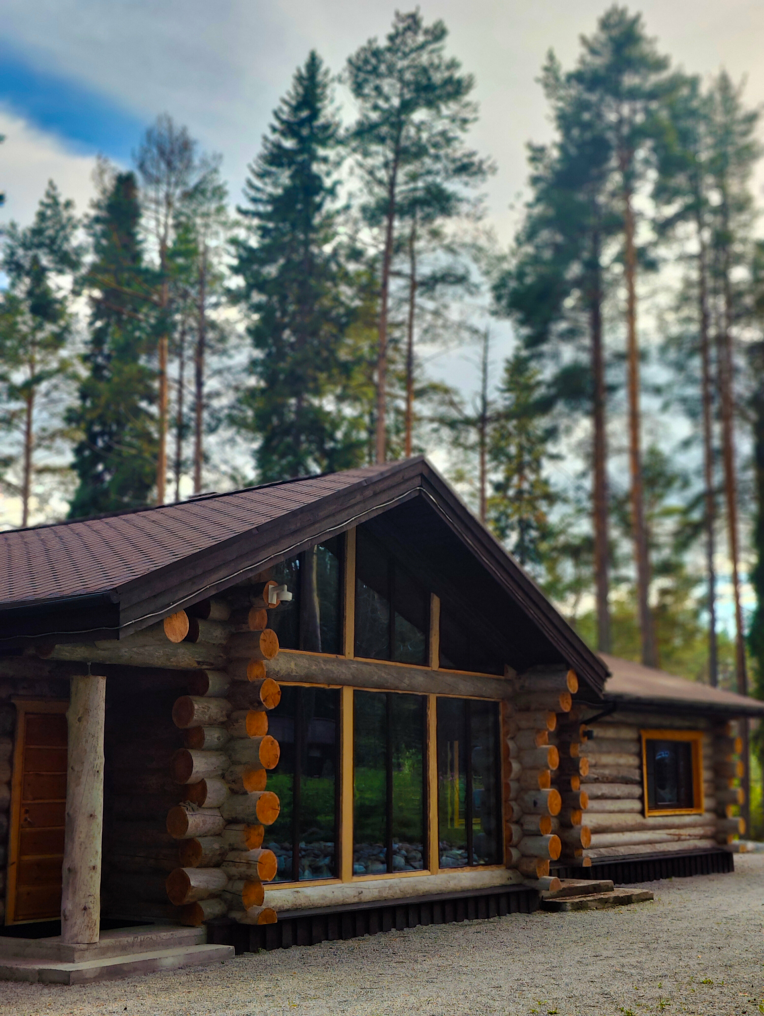 Коттедж с видом на лес