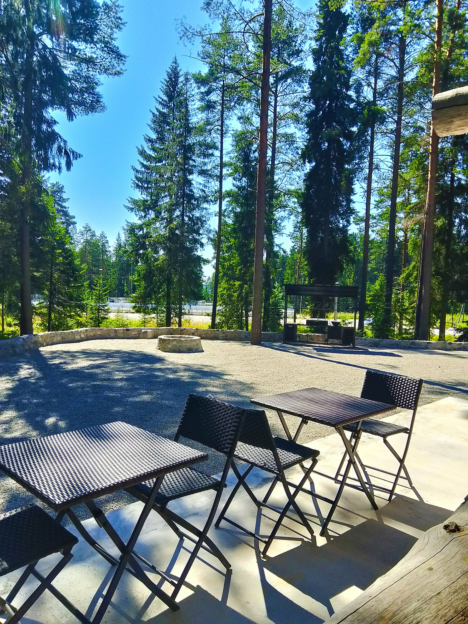 Коттедж с видом на лес