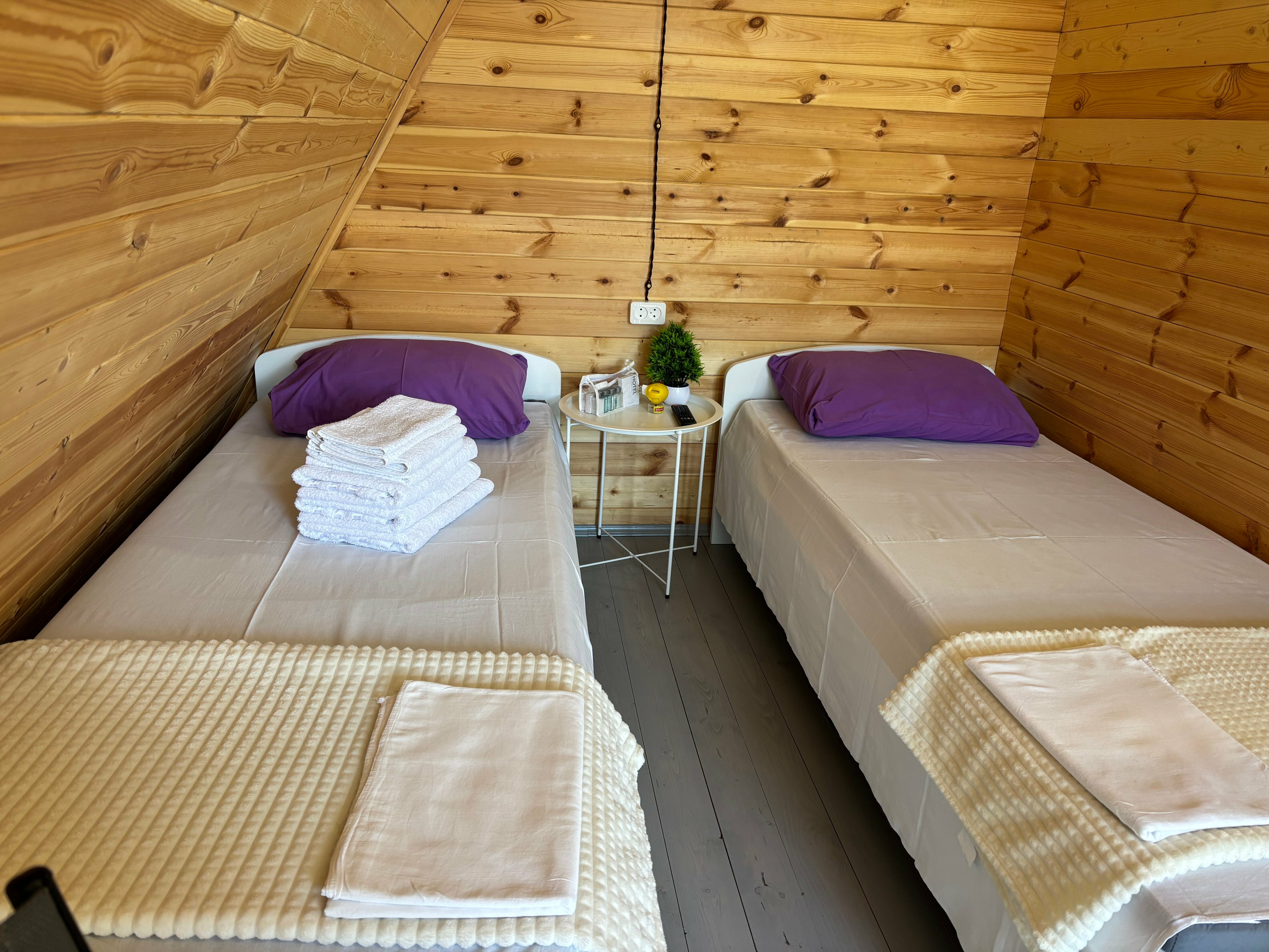 Четырехместный номер с видом на горы