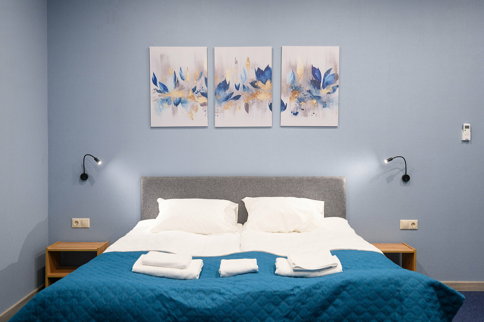 Двухместный номер Делюкс с 1 кроватью или 2 отдельными кроватями