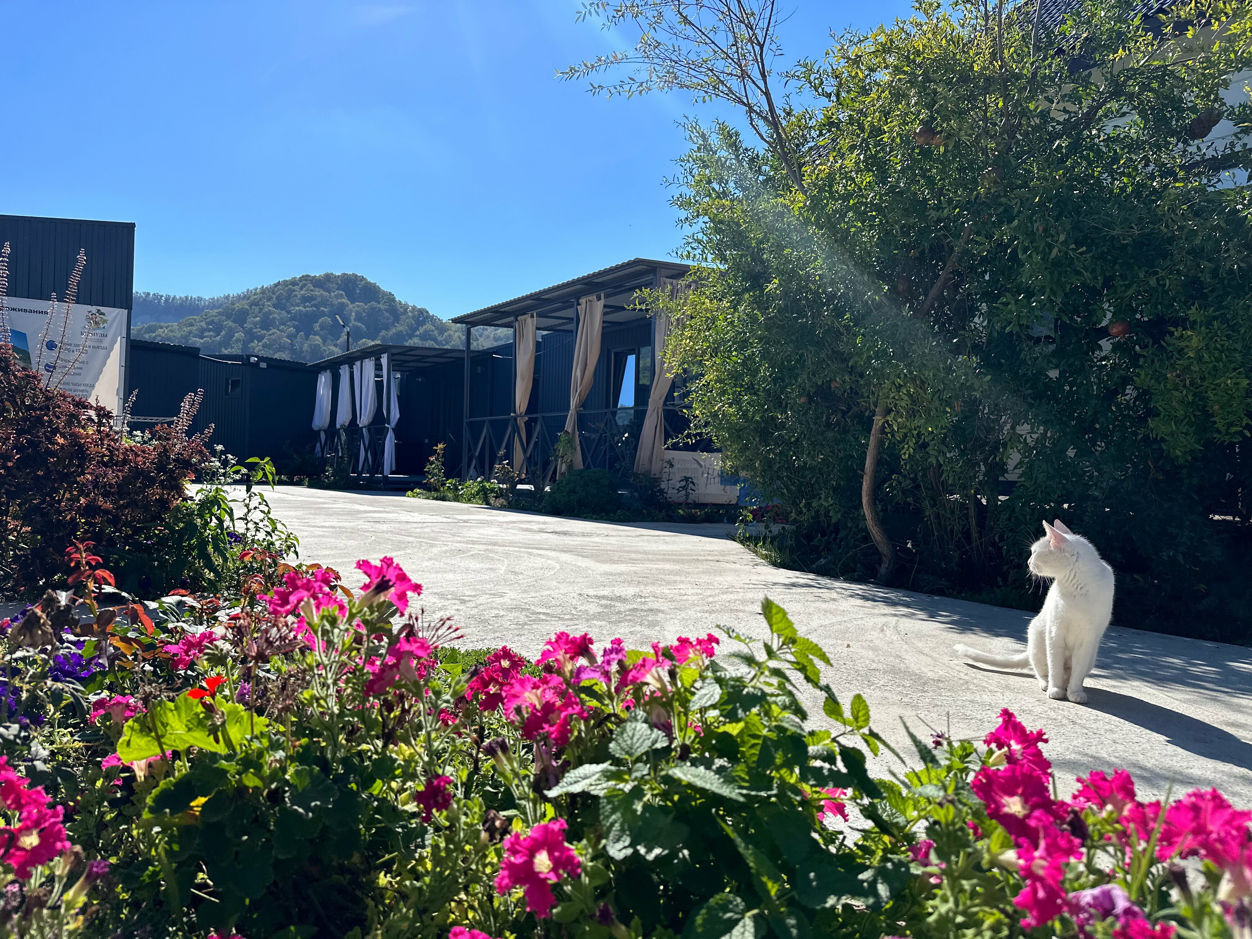 Семейный номер