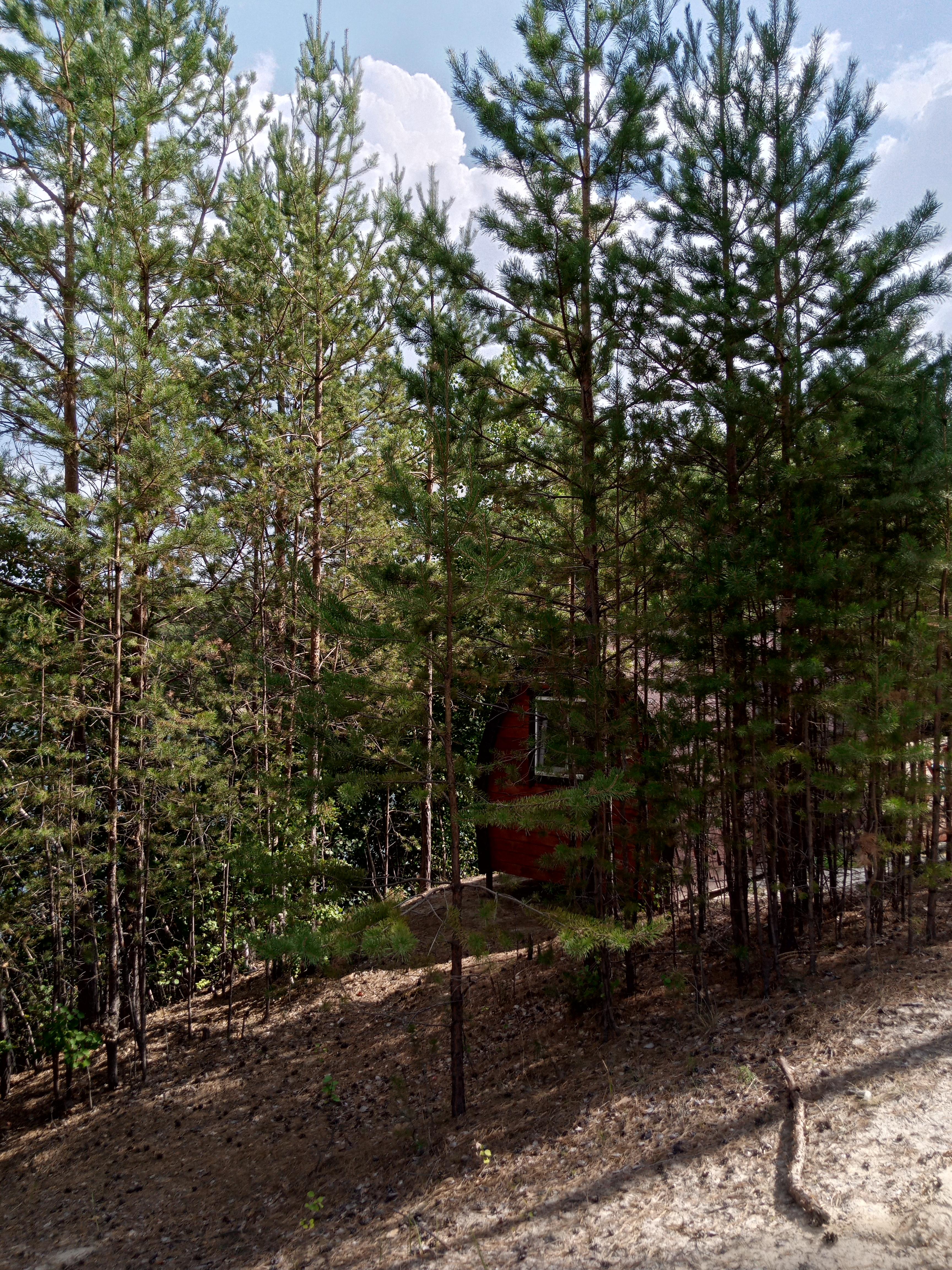 Четырехместный номер