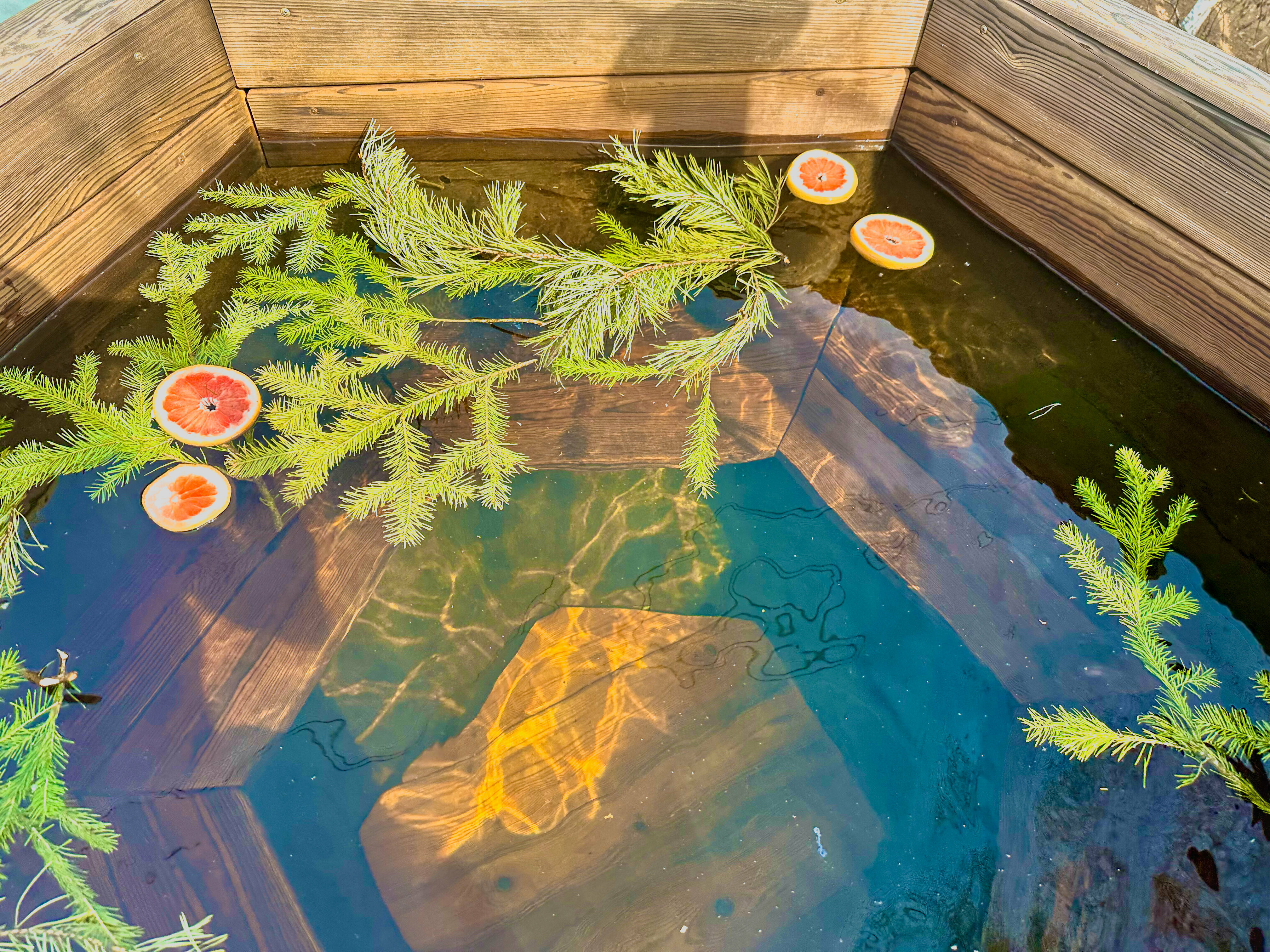 Двухместный номер с 1 кроватью и собственной ванной комнатой