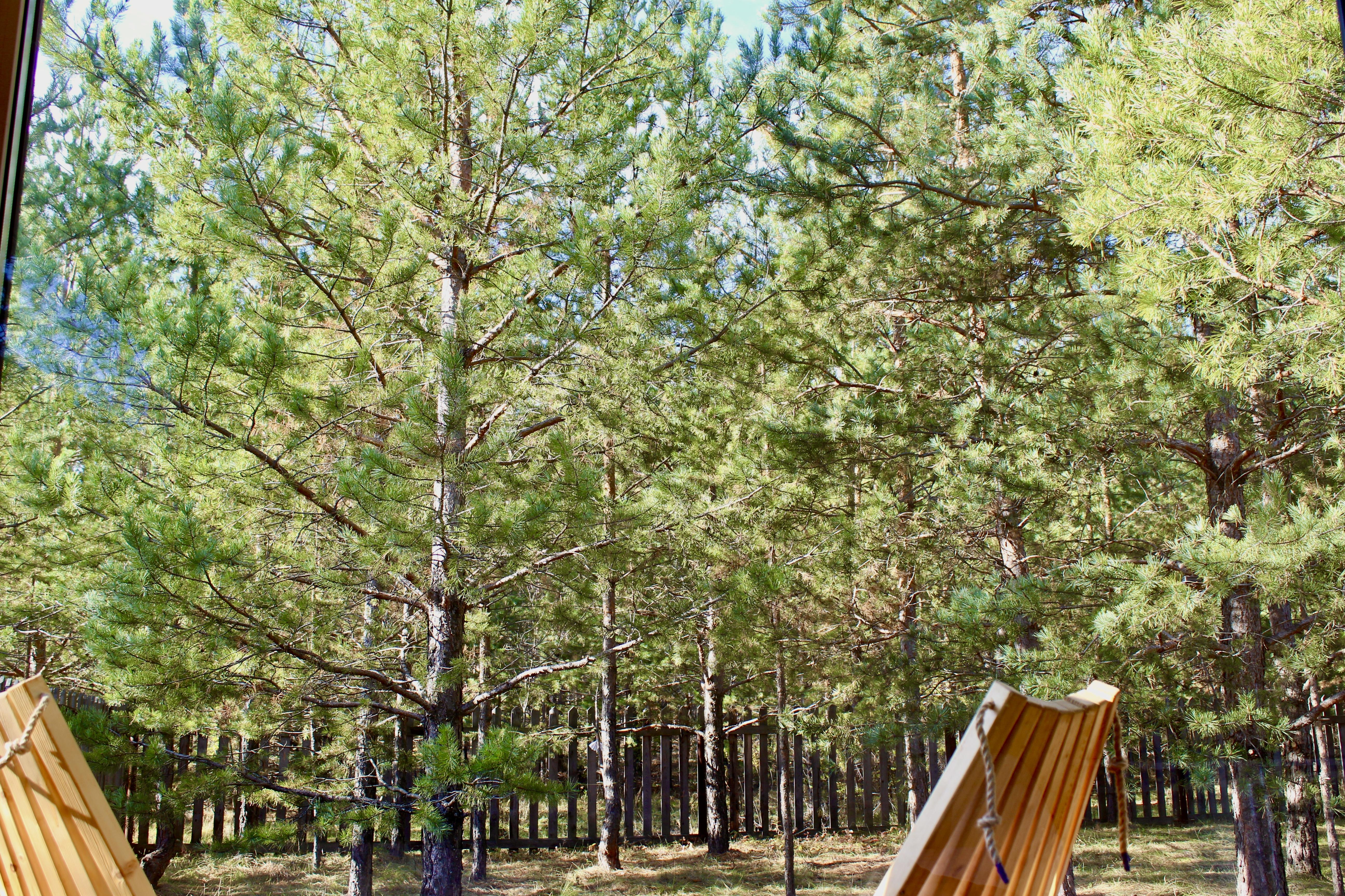 Двухместный номер с 1 кроватью