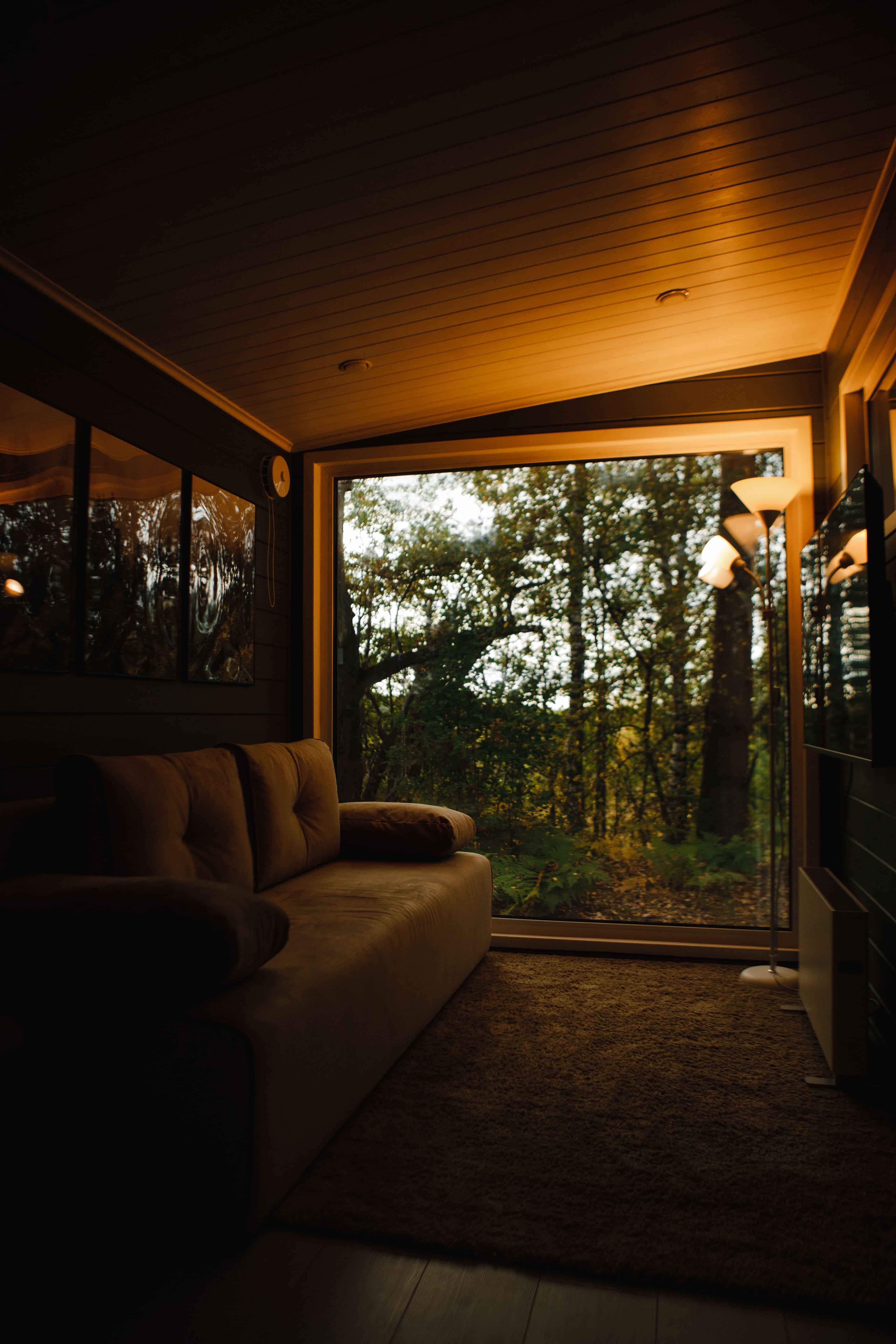 Дом с видом на лес