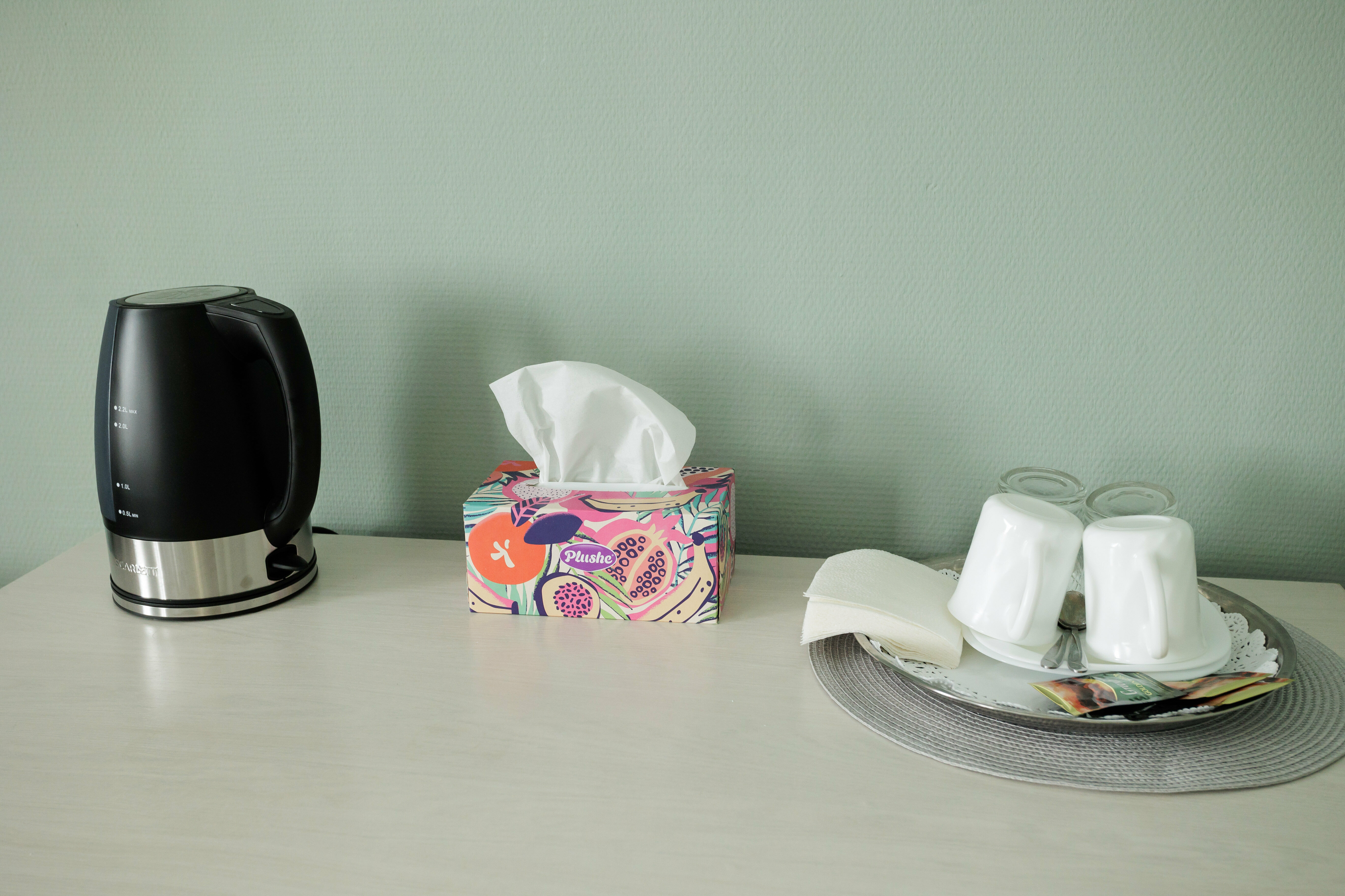 Двухместный номер с двухспальной кроватью и диваном