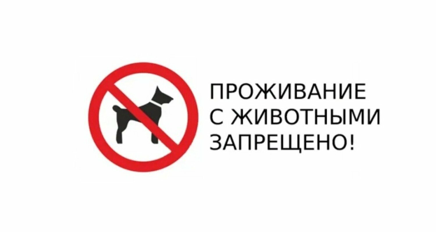 Дом для отпуска