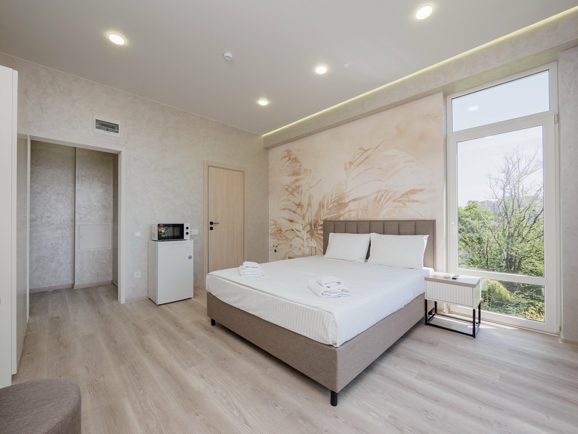 Двухместный номер Делюкс с 1 кроватью