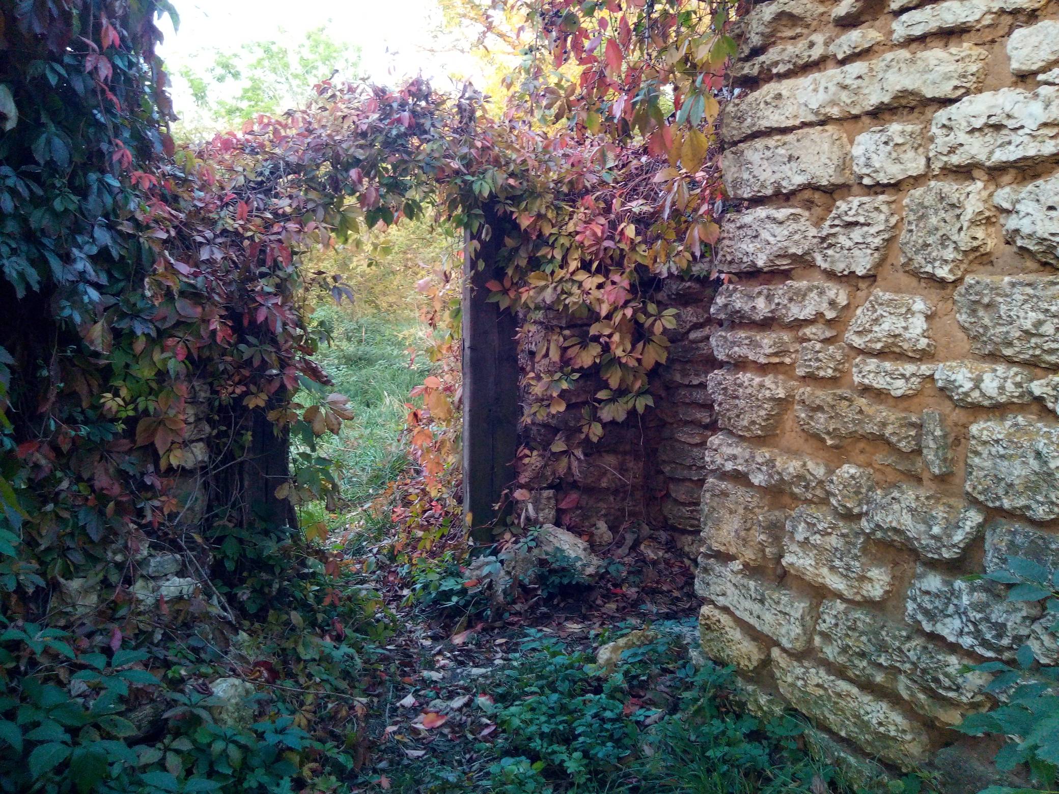 Четырехместный номер