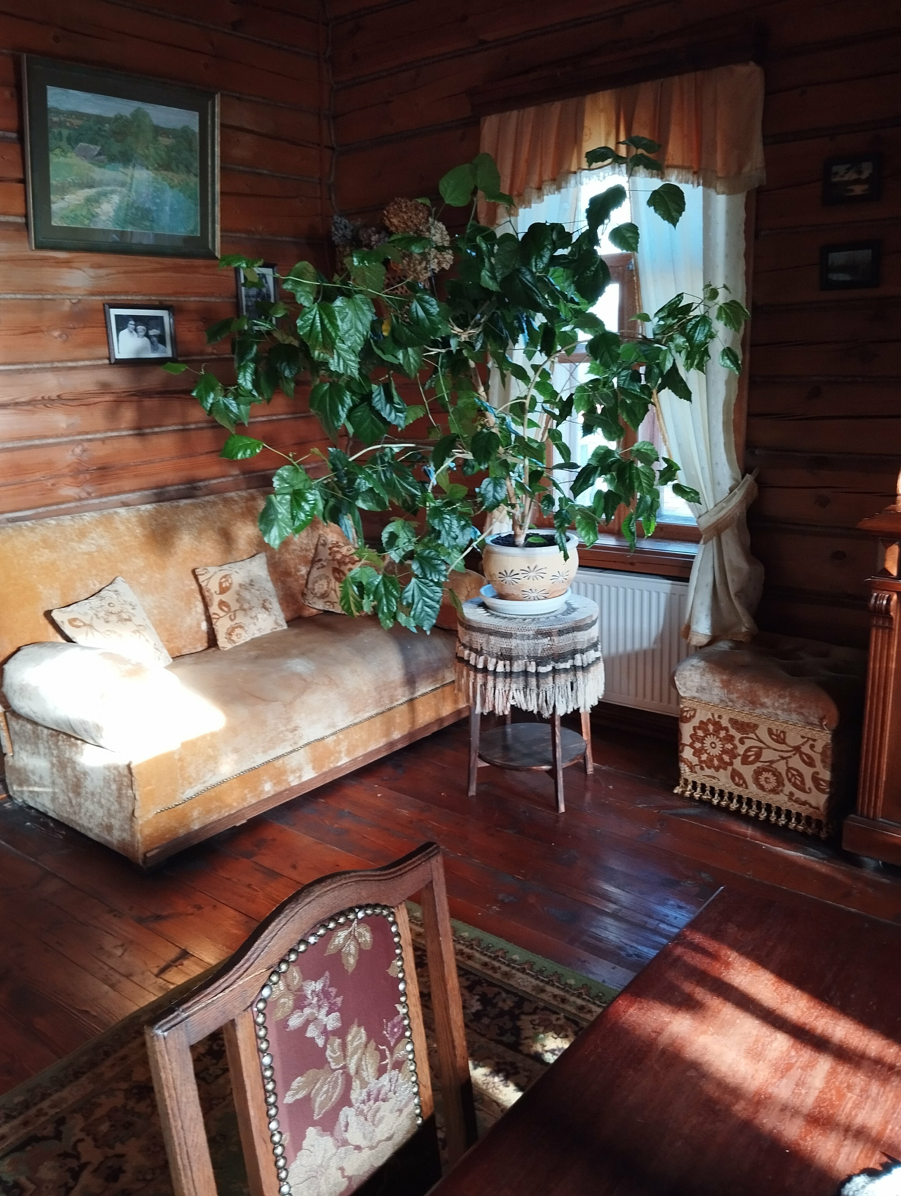 Двухместный номер с 1 кроватью