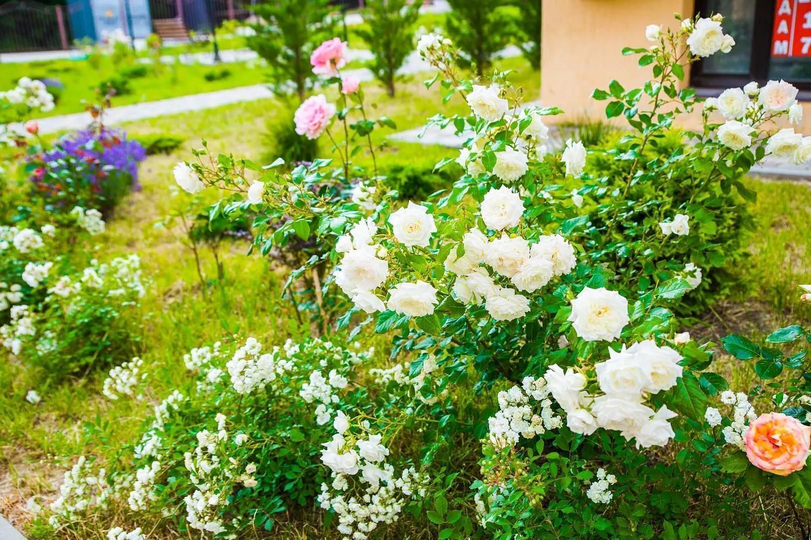 Четырехместный номер