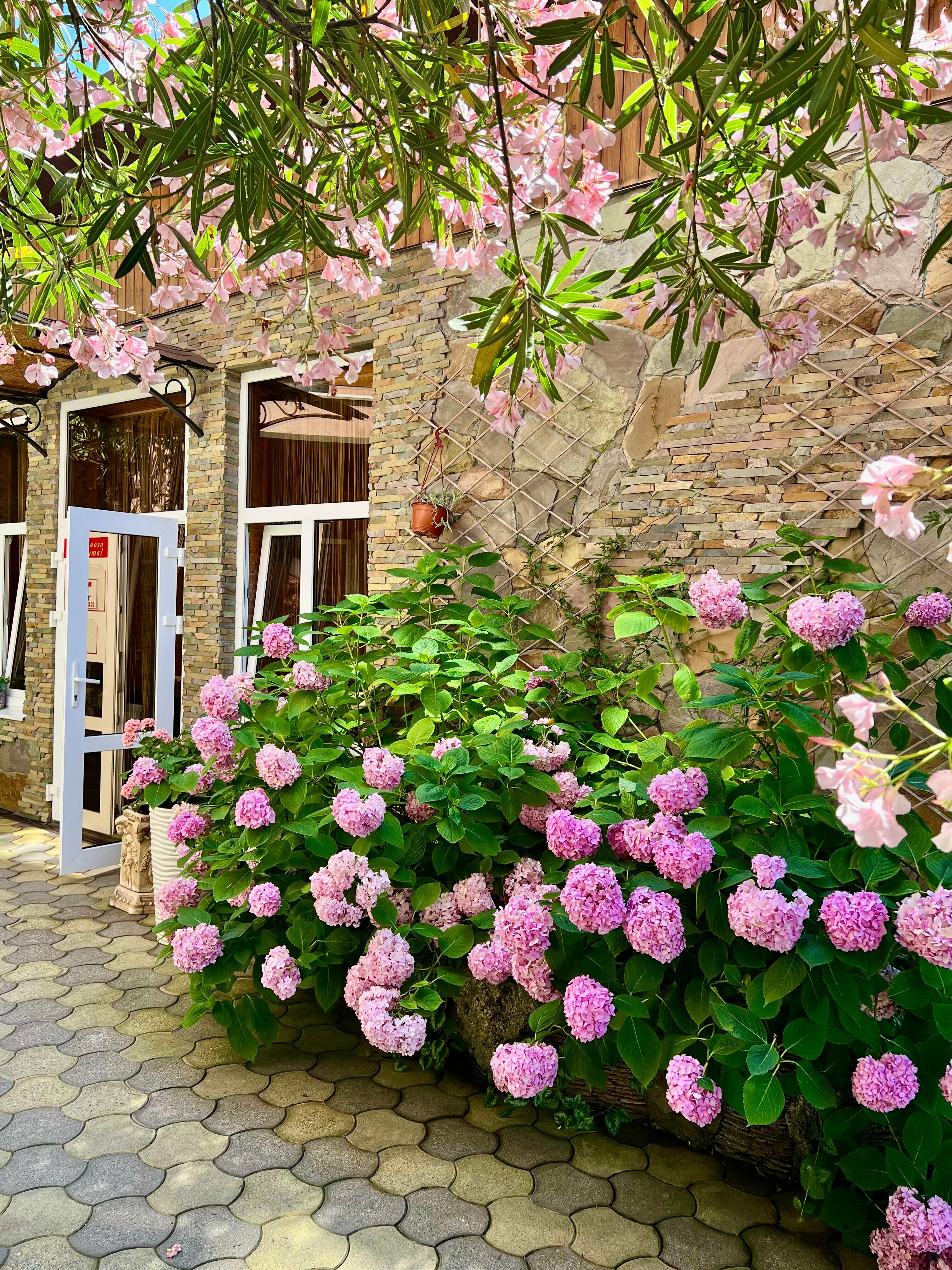 Четырехместный номер с балконом