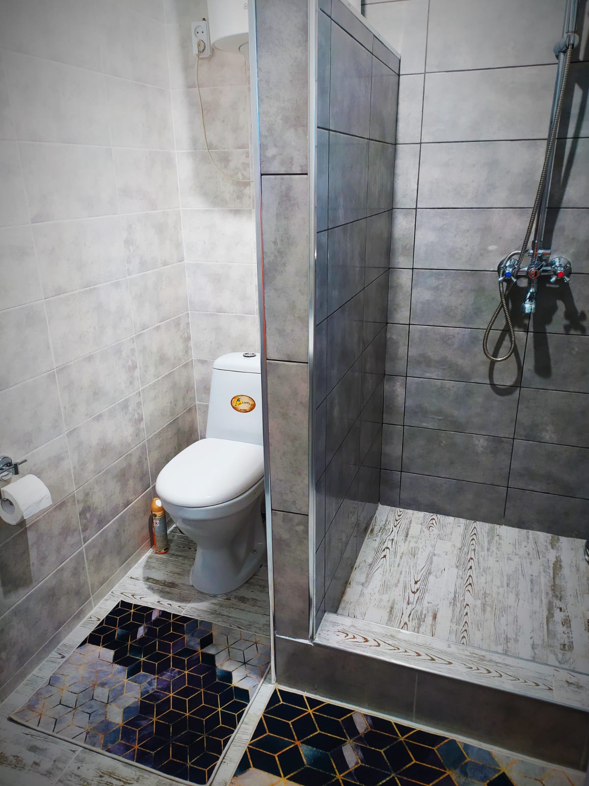 Двухместный номер с 1 кроватью