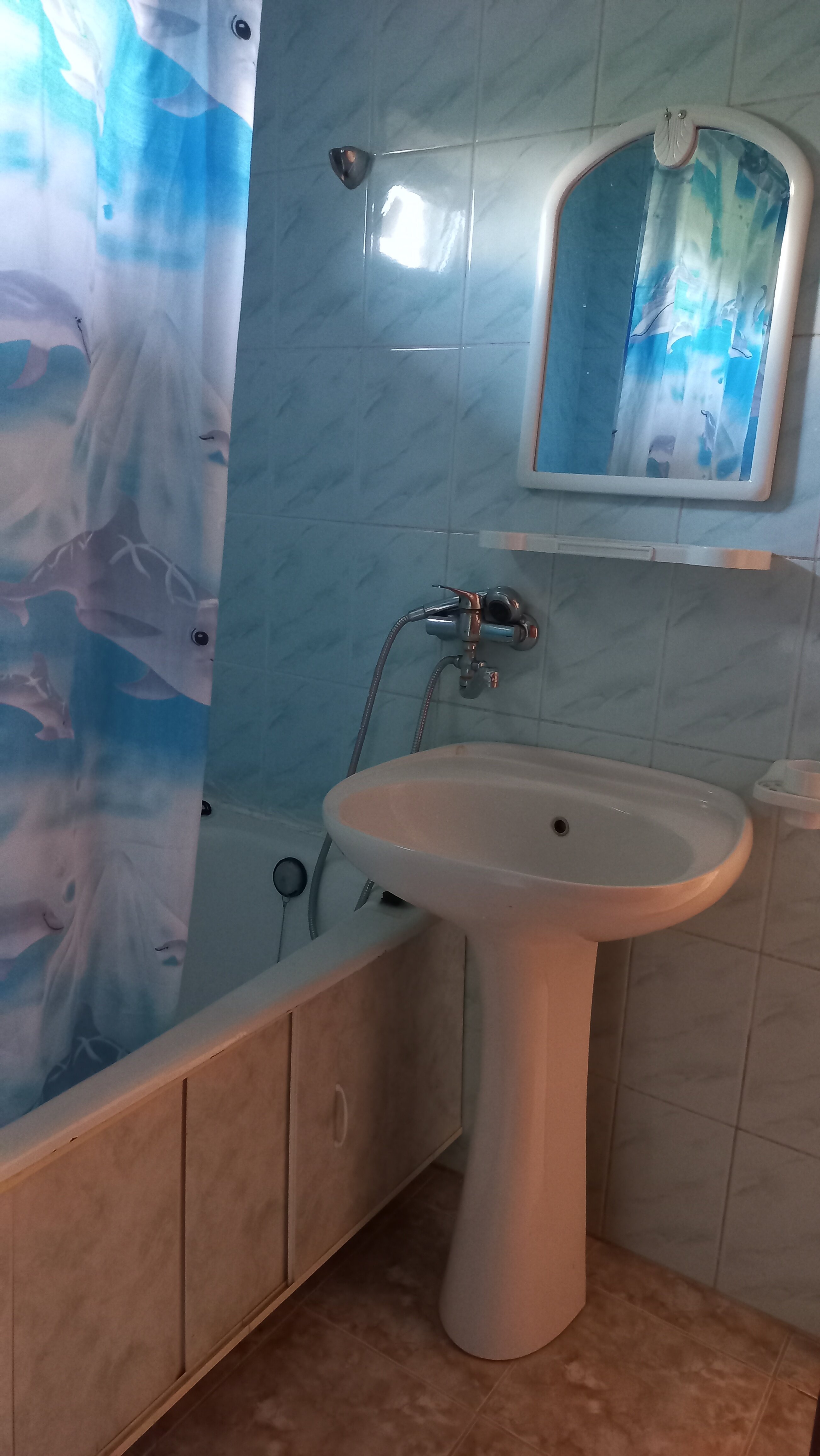 Апартаменты с 1 спальней